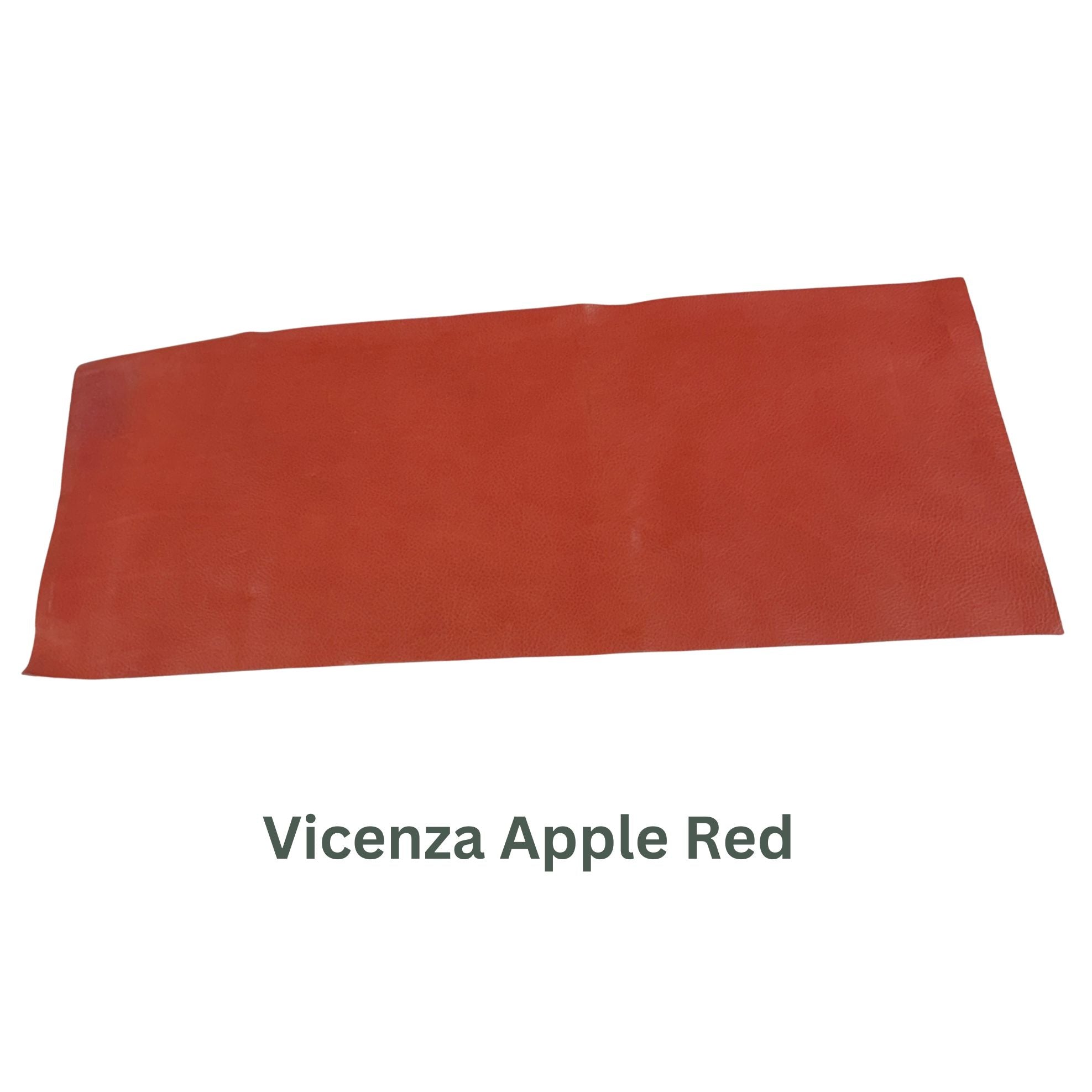 Pink, Orange, & Red Leather Panels