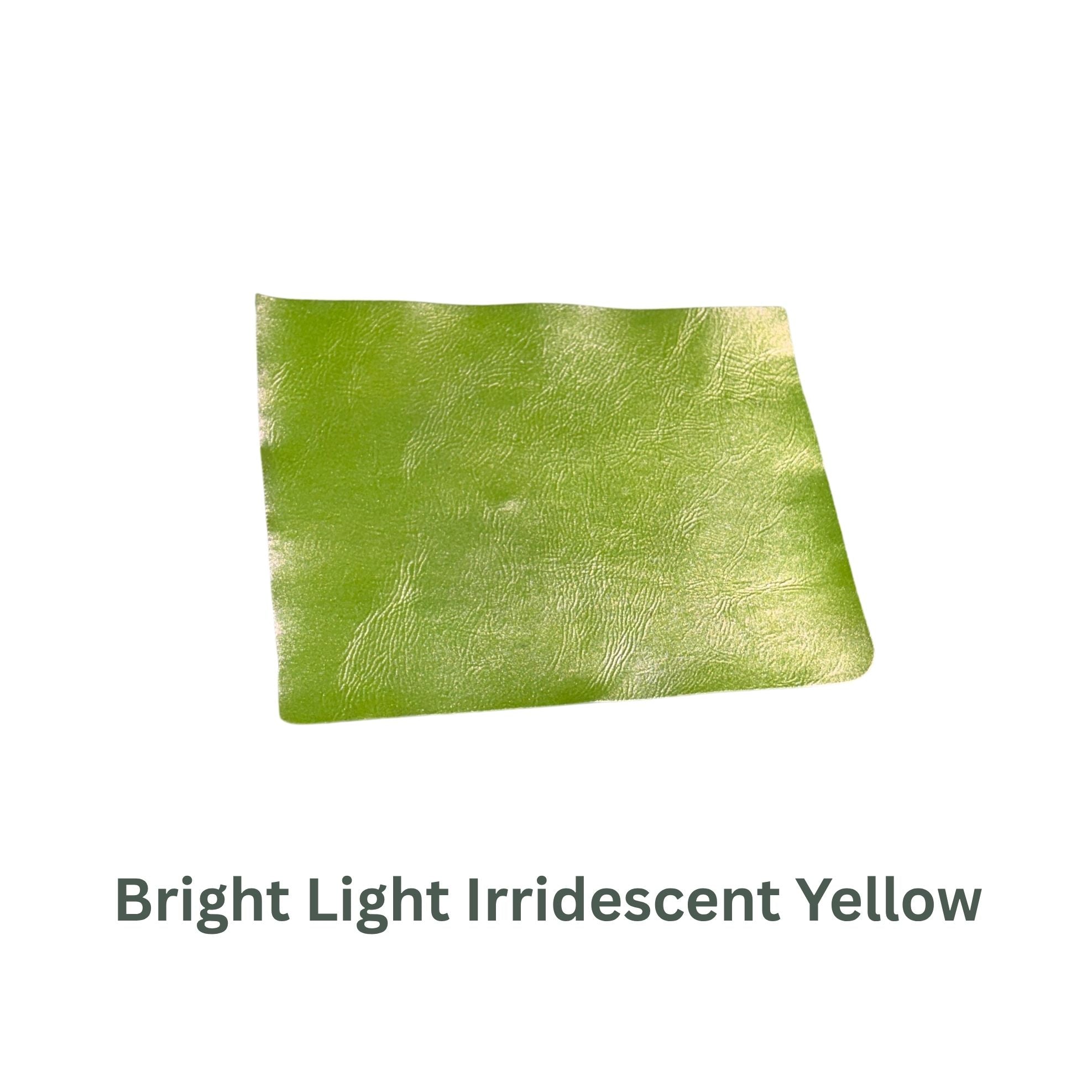 Neon Small Leather Panels