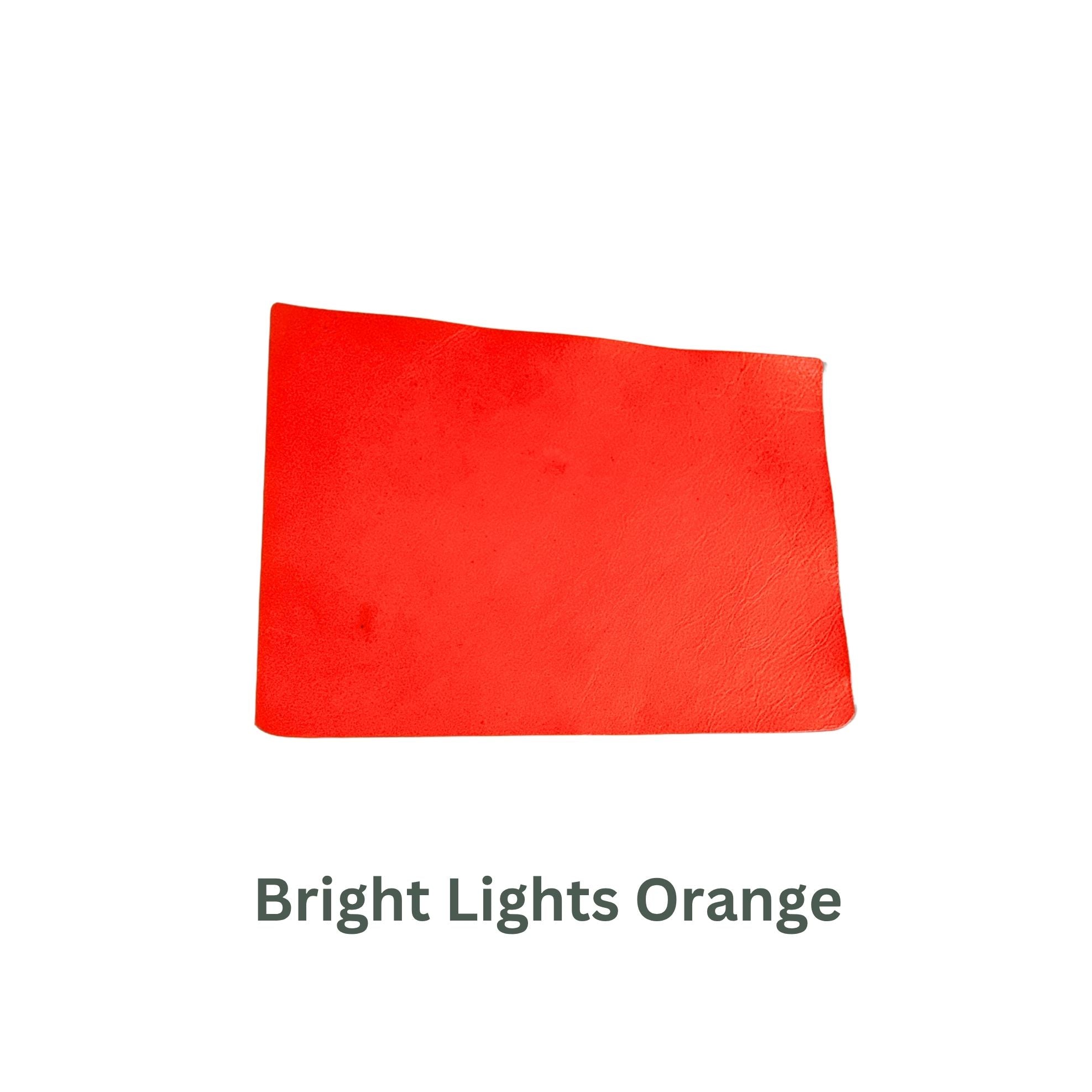Neon Small Leather Panels