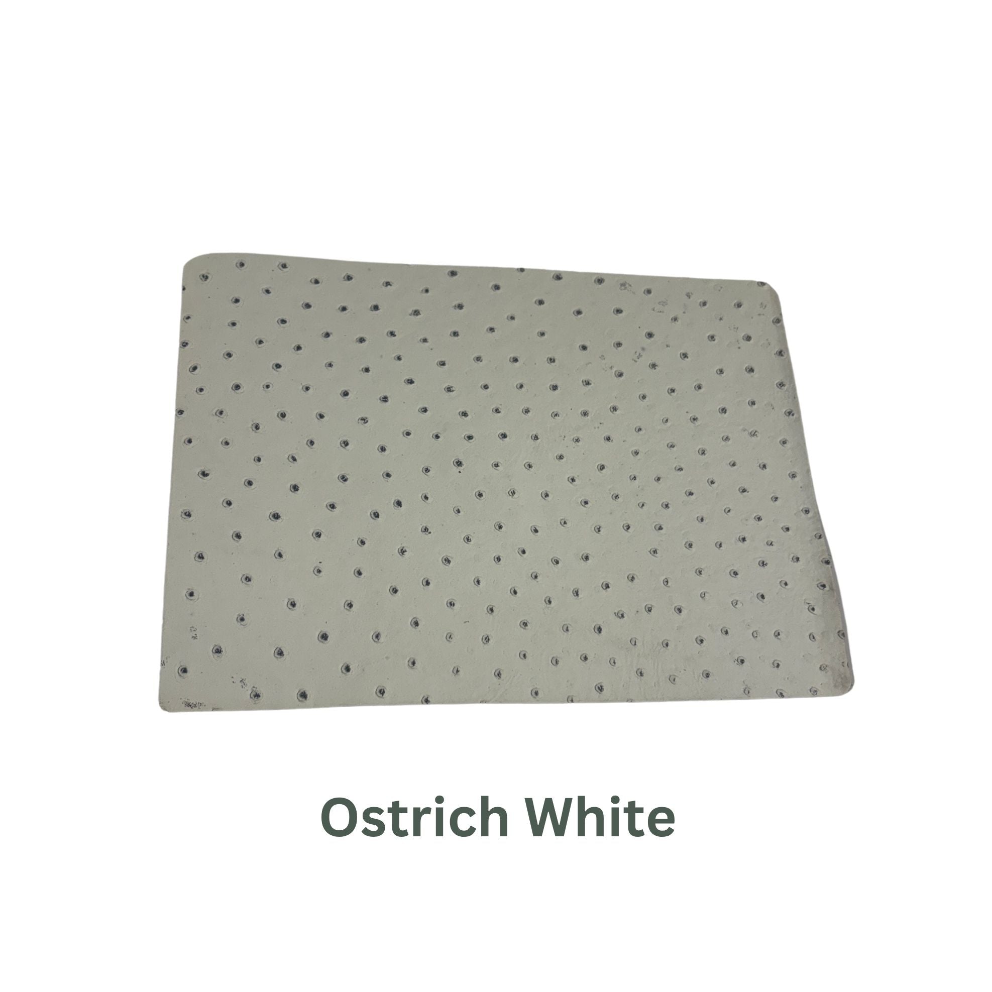 Ostrich Small Leather Panels