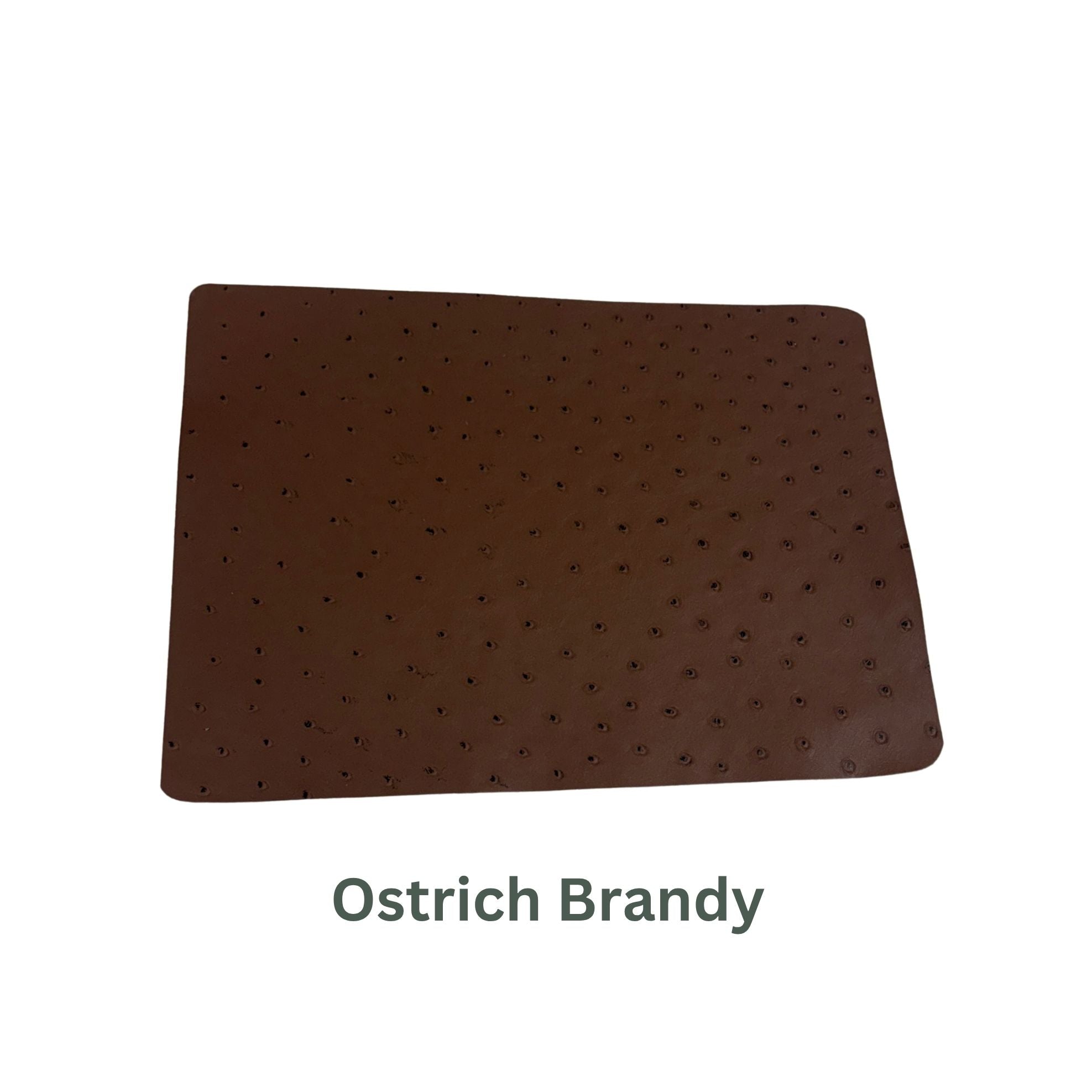Ostrich Small Leather Panels