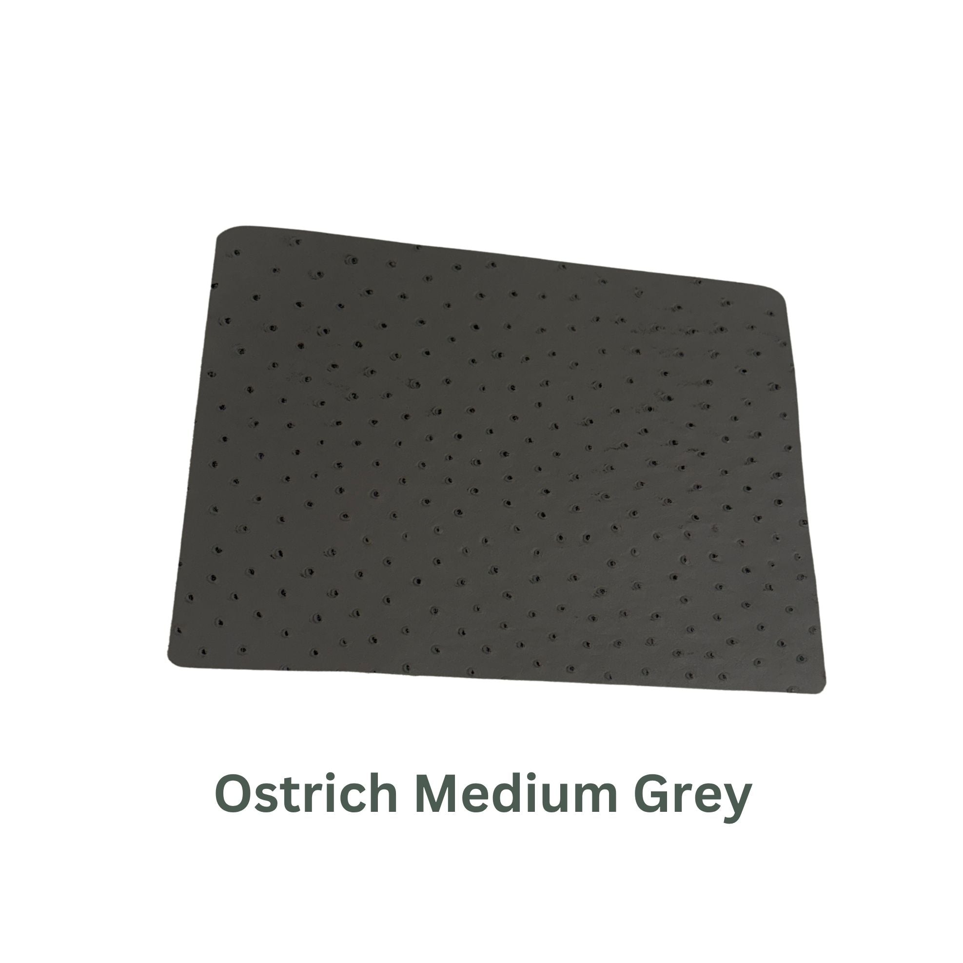 Ostrich Small Leather Panels