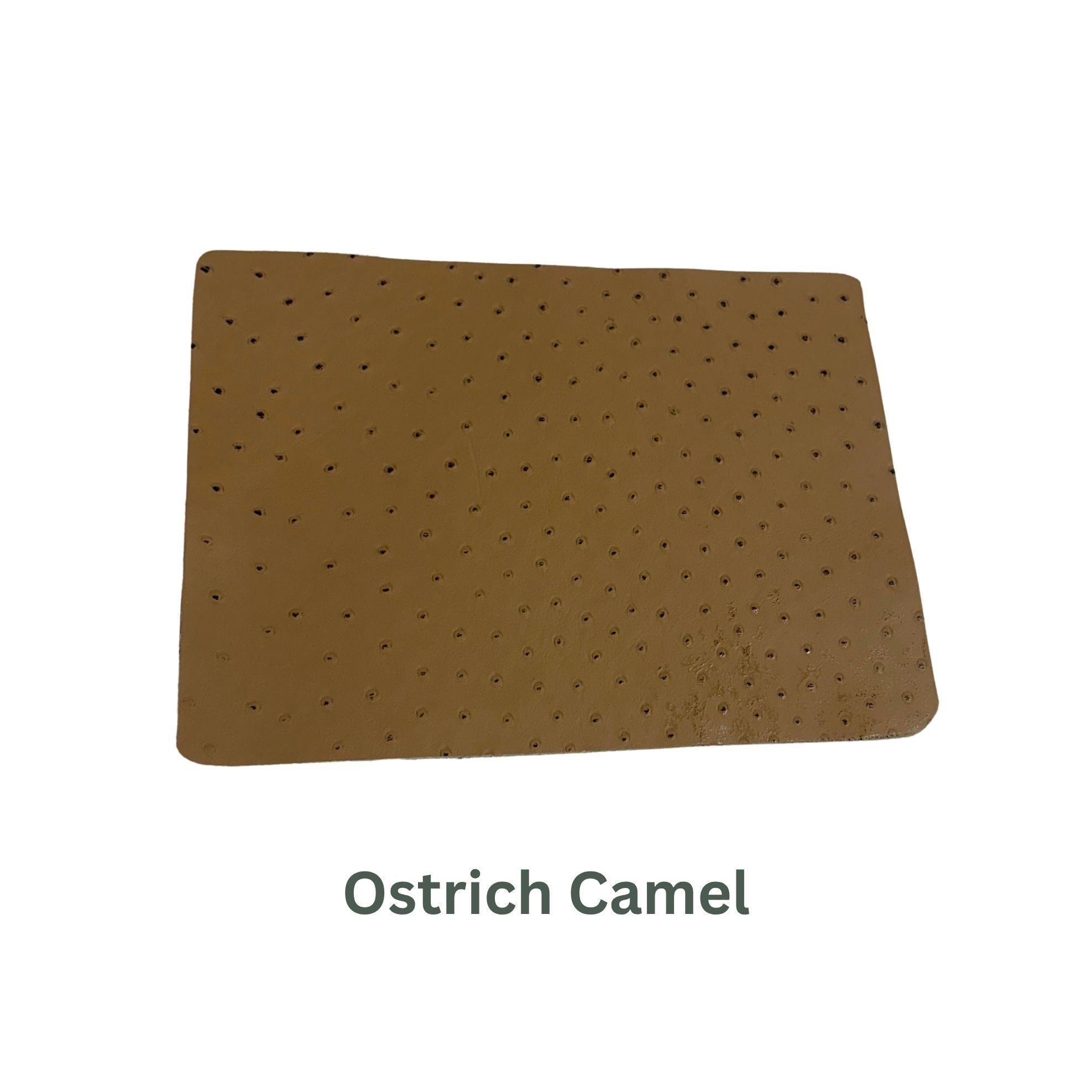Ostrich Small Leather Panels