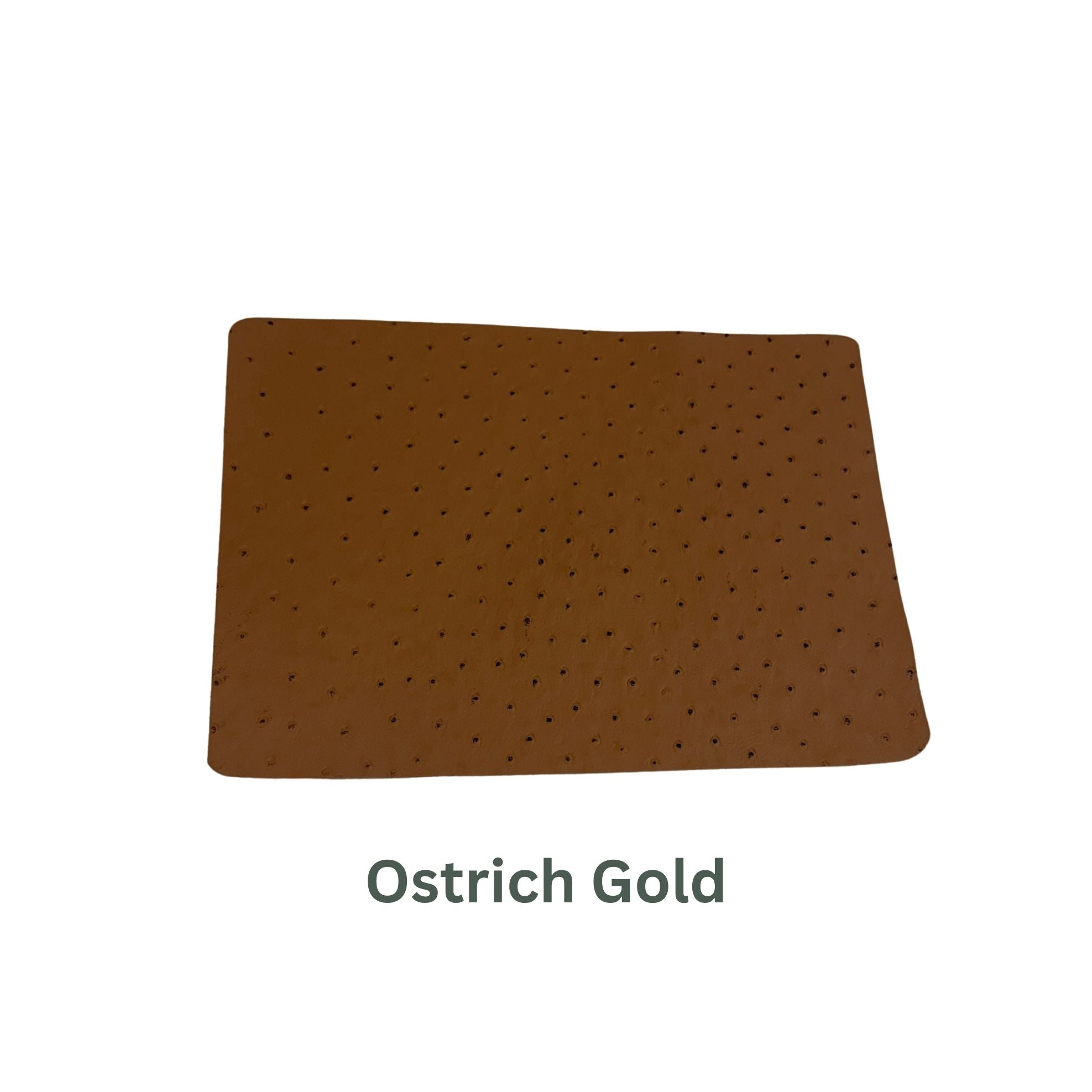Ostrich Small Leather Panels