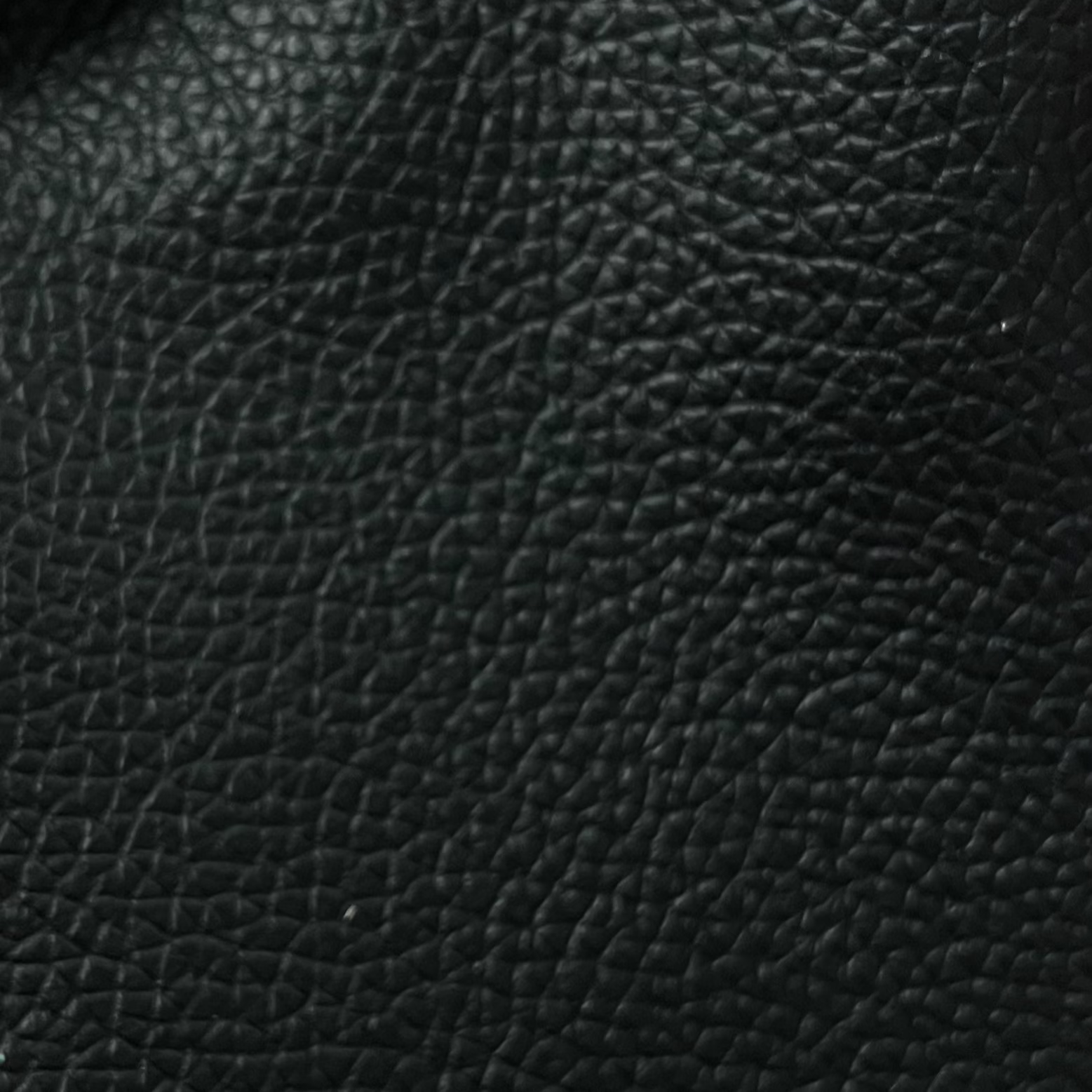 Tosca Black Shiny Pebbled Leather Upholstery