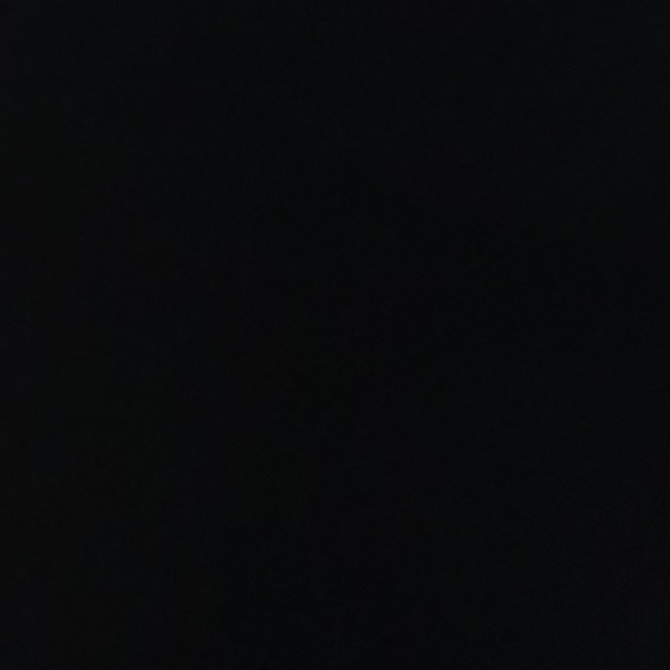 Black Heavy Weight Police