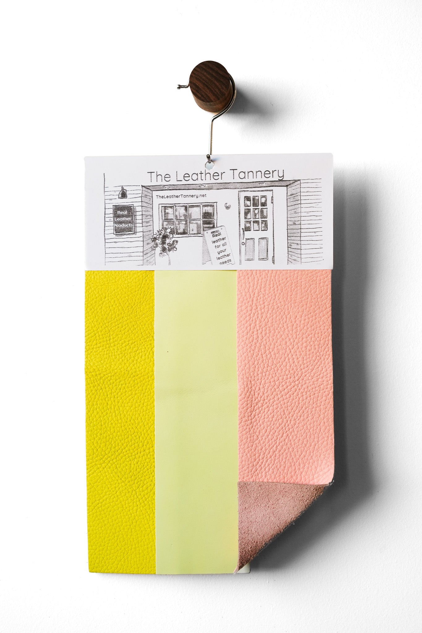 Palette | Summer Brights