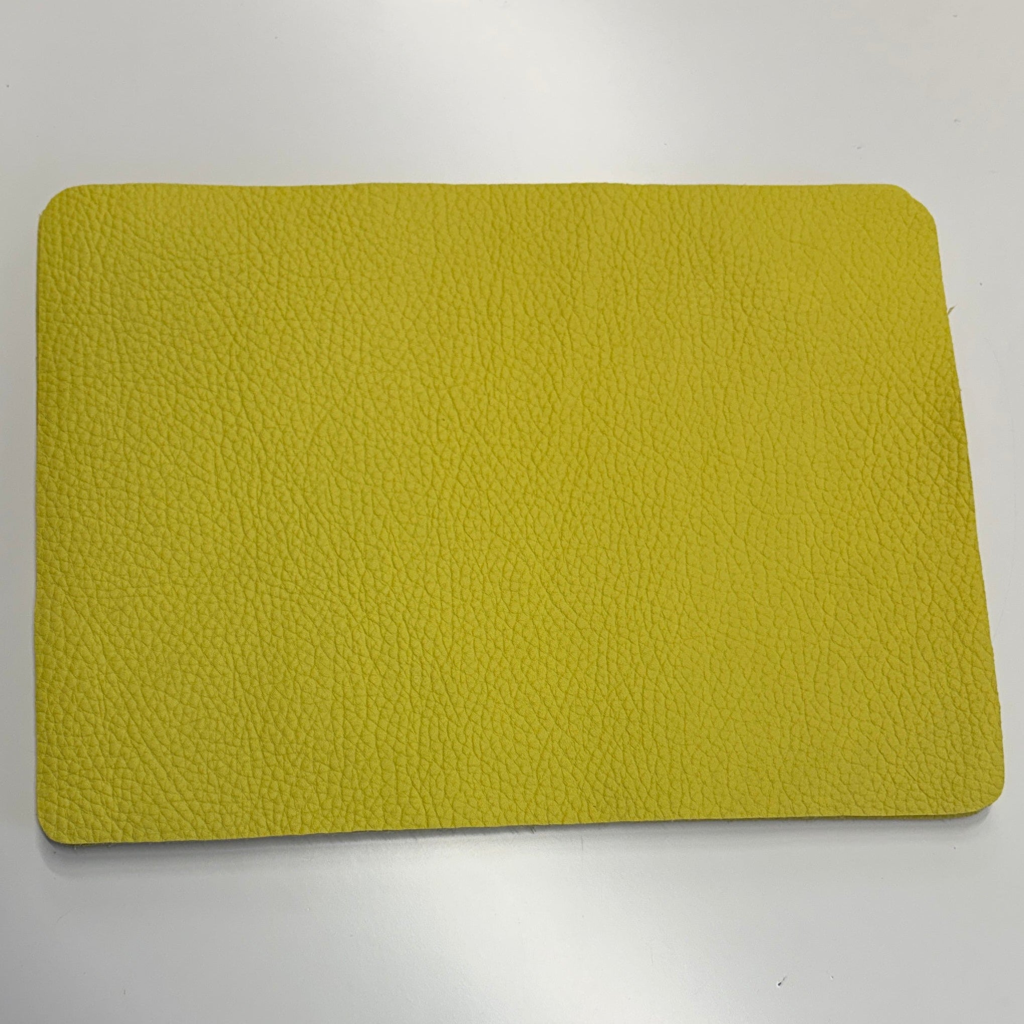 Notebook Panels