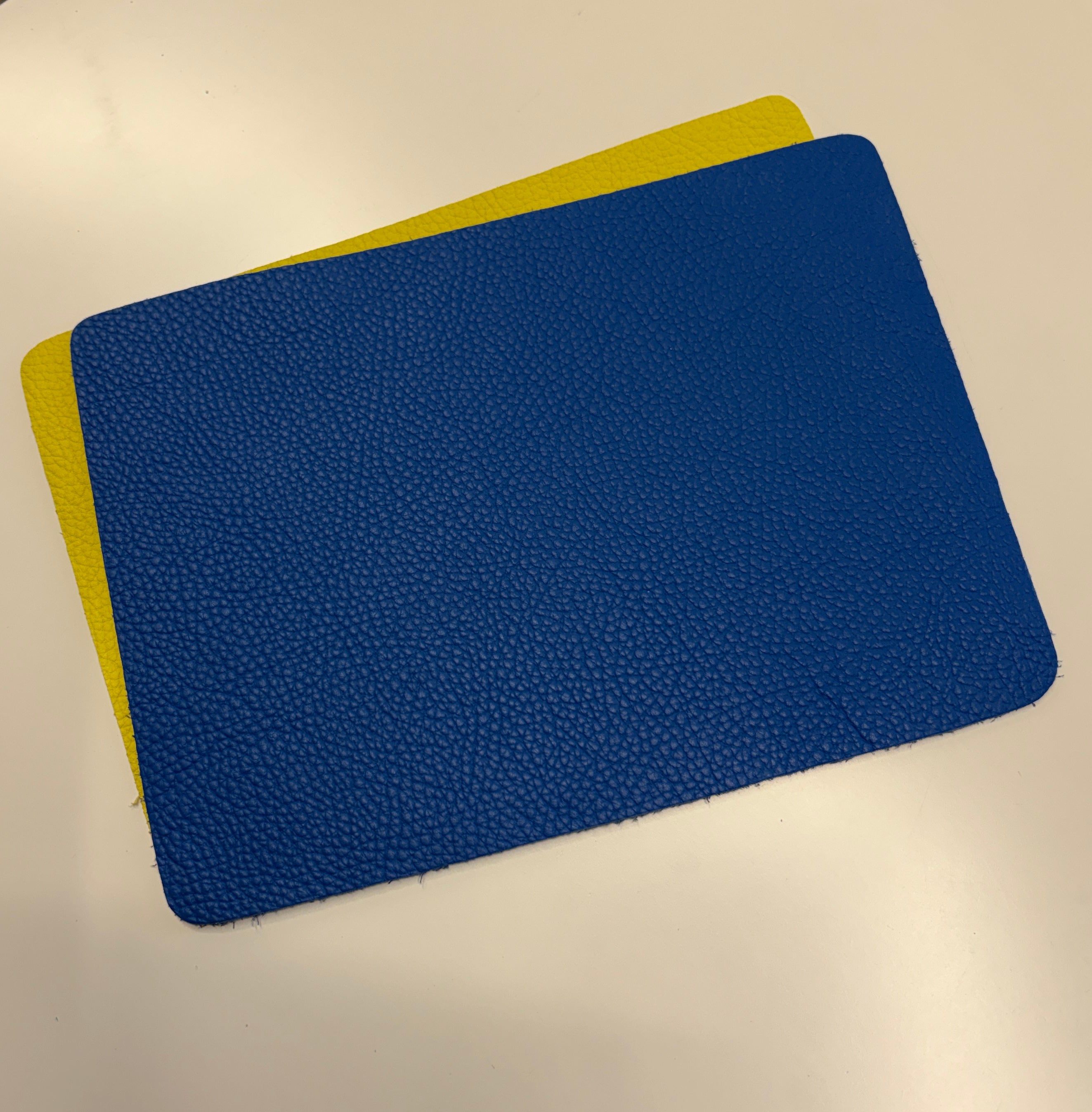 Notebook Panels