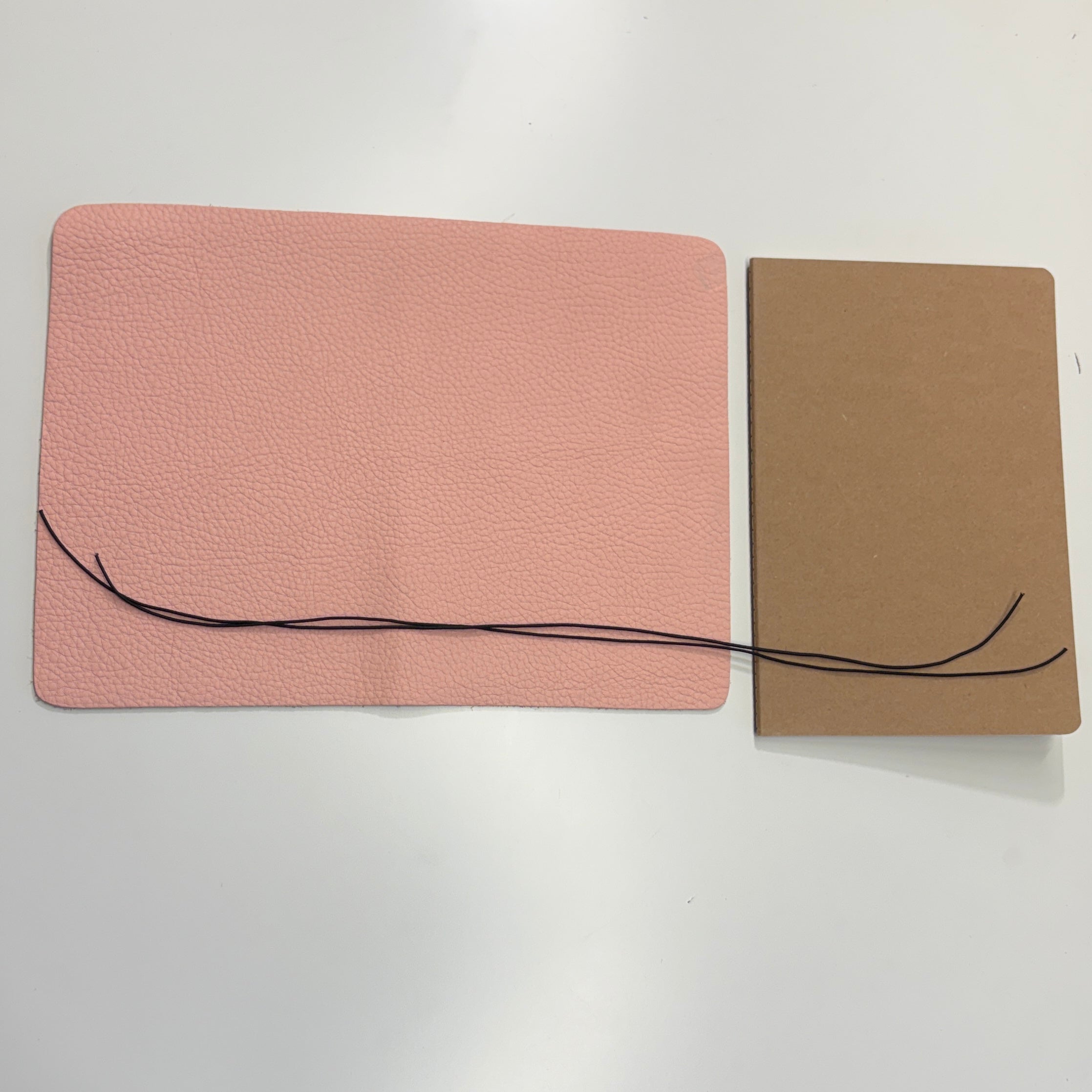 Notebook Panels