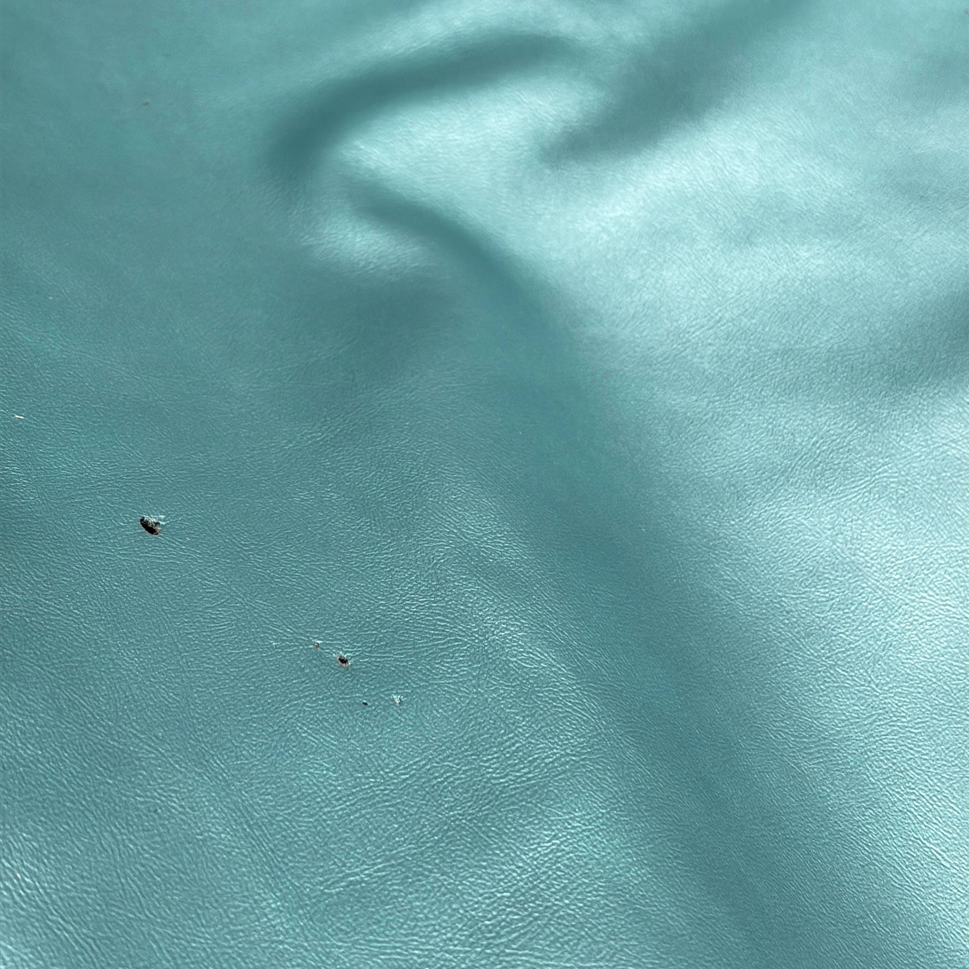 Sierra Metallic Turquoise Leather Hide