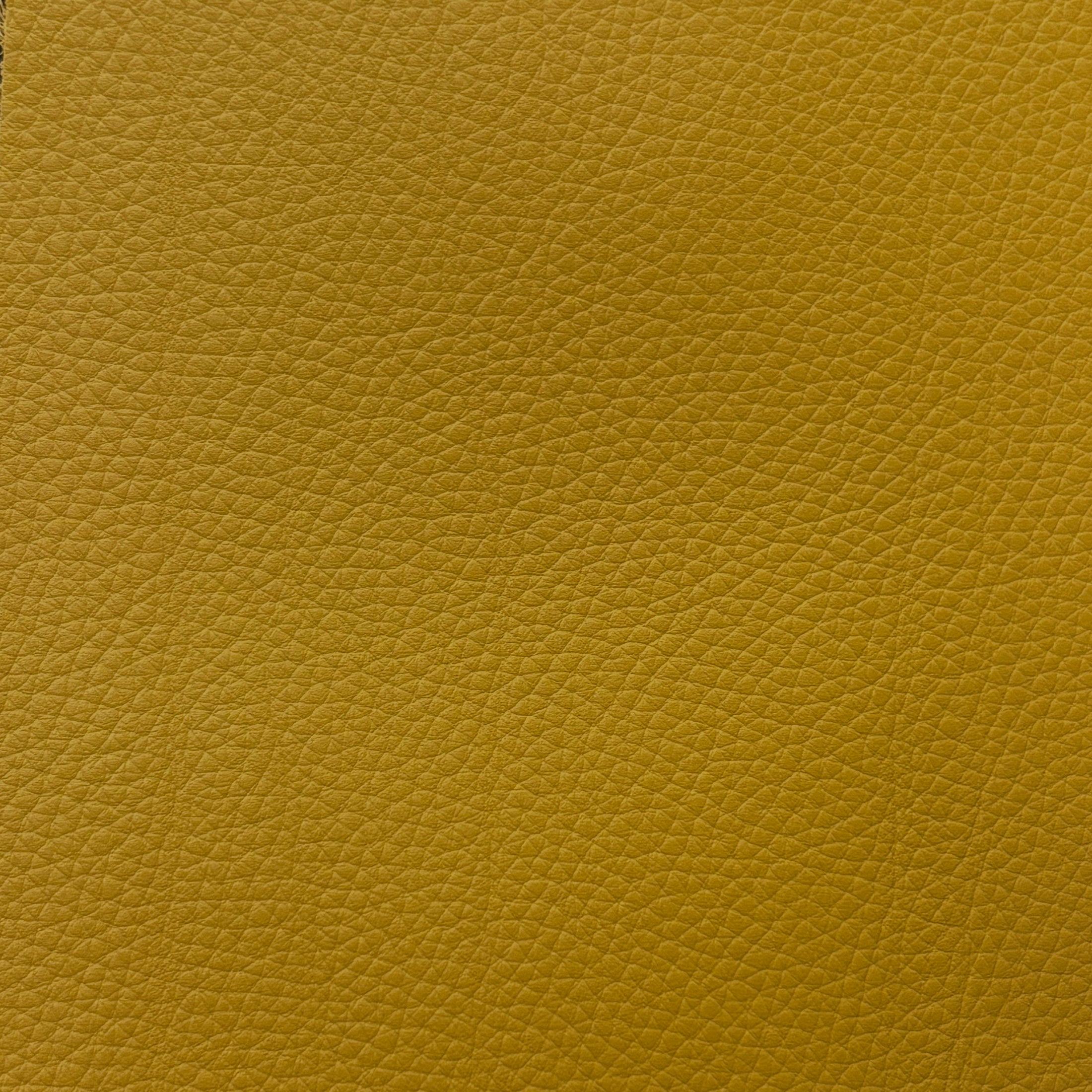 Studio Bubble | Arnica