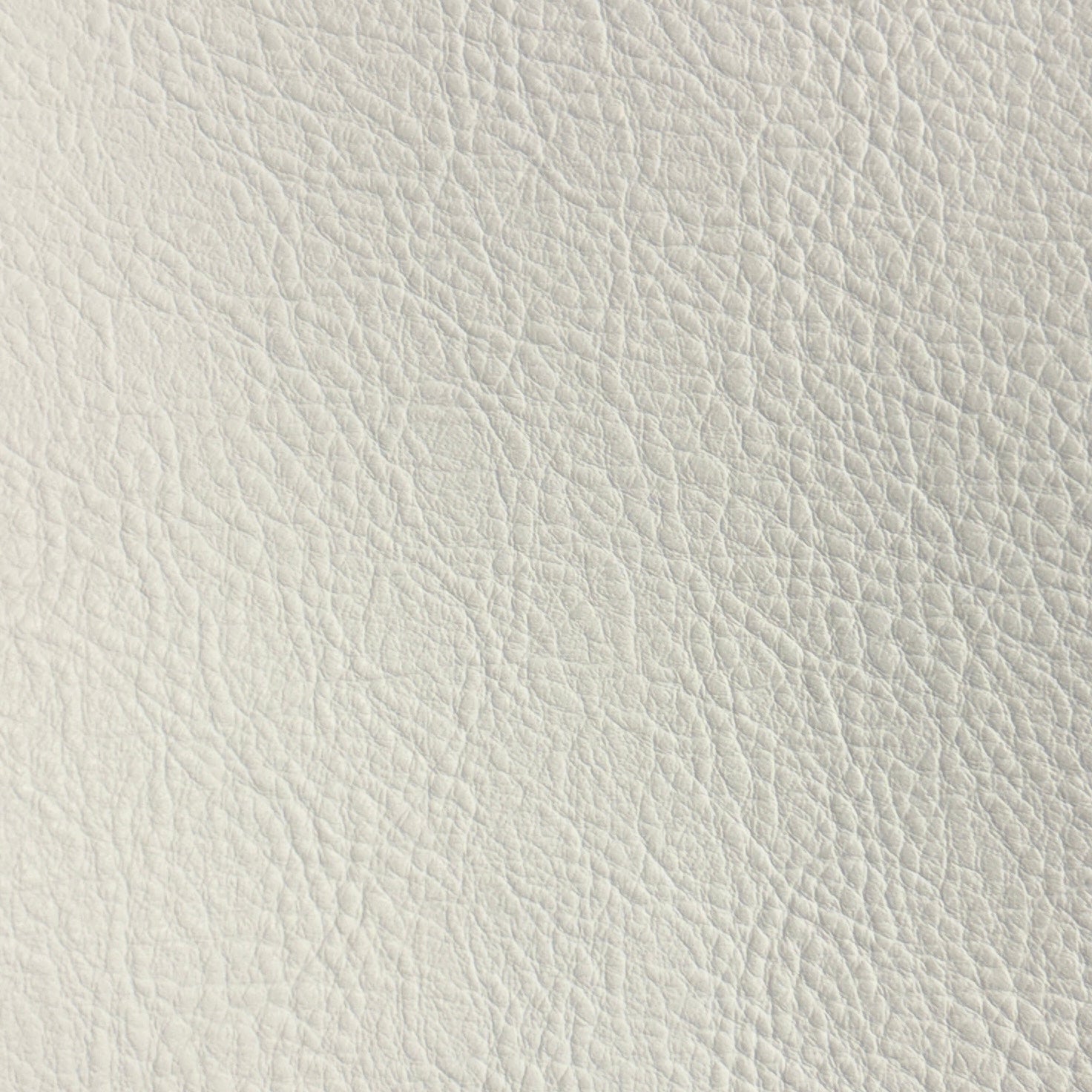 Studio Bubble | Latte