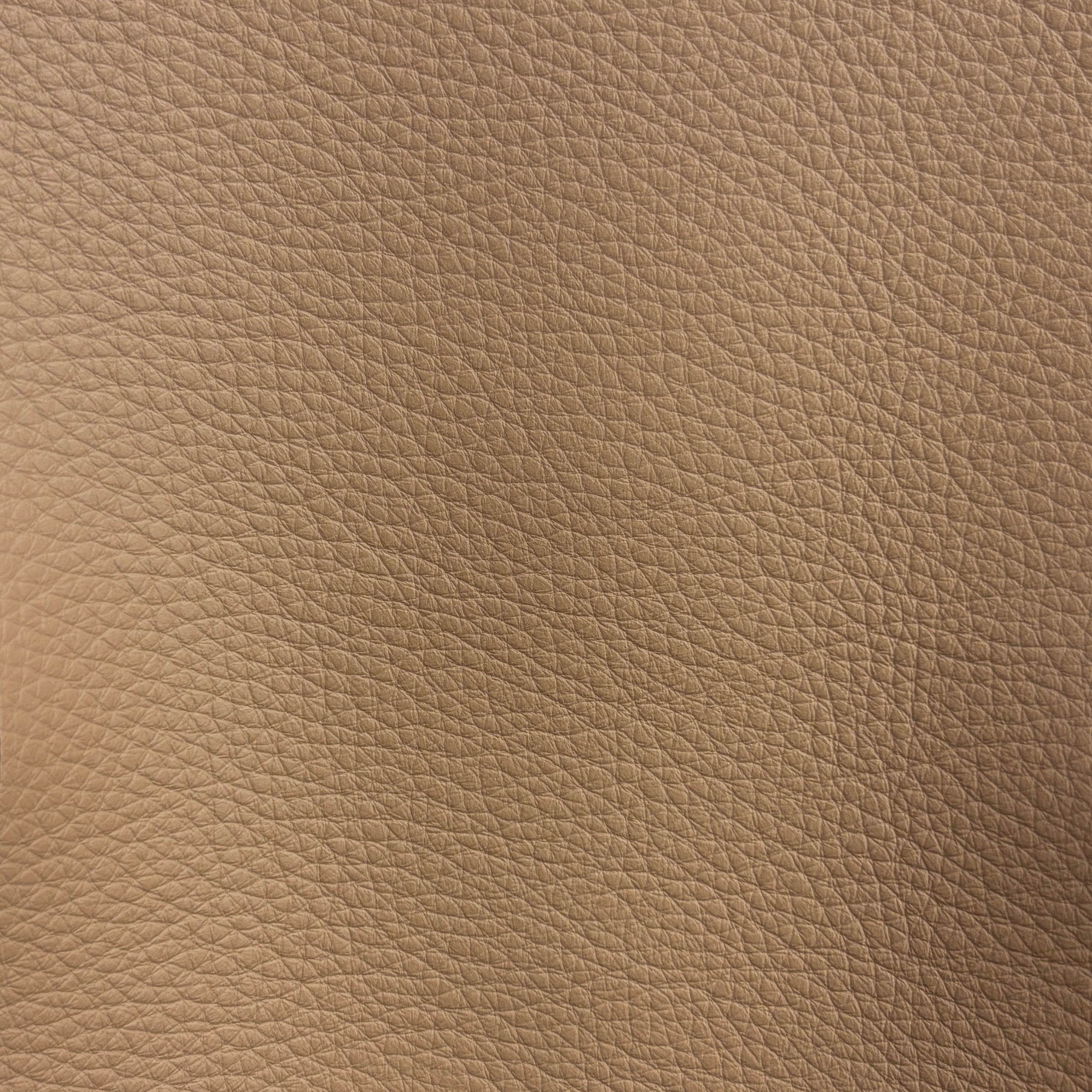 Studio Bubble | Mojave