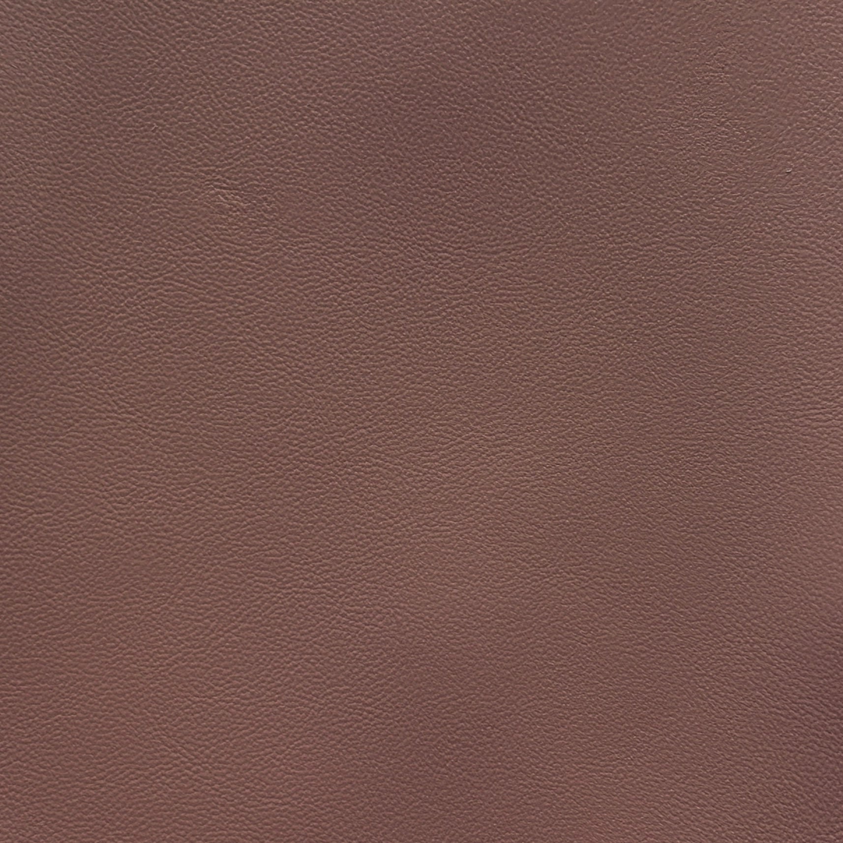 Palm Beach | Bronze