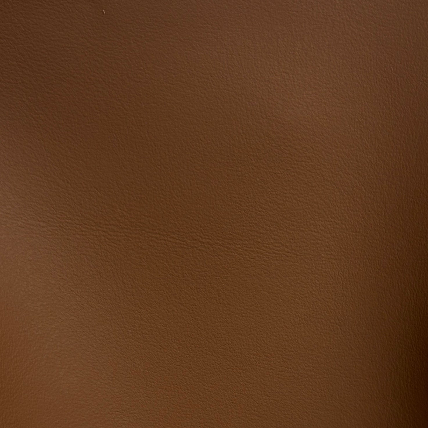 Palm Beach | Syrup
