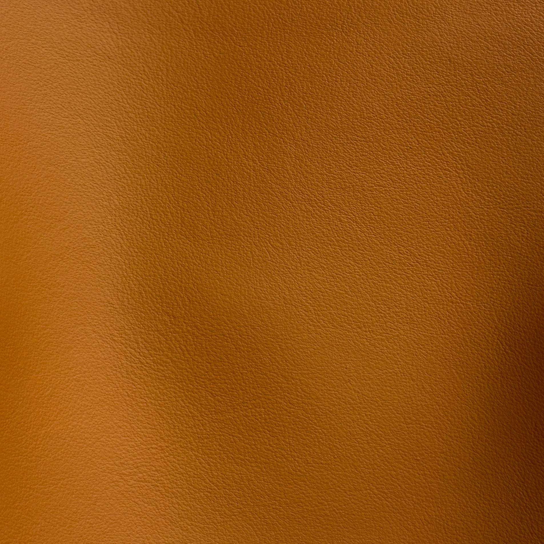 Palm Beach | Wood