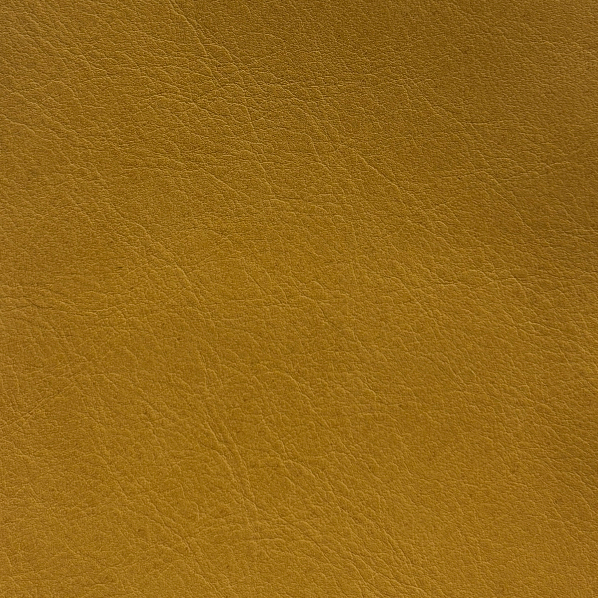 Sardinia | Honey