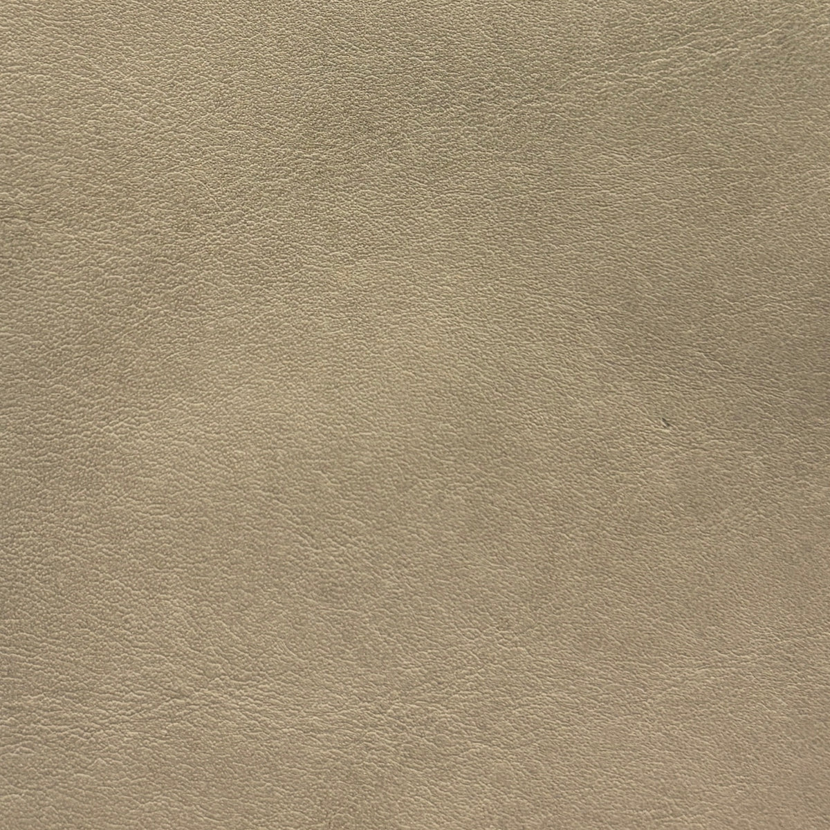 Sardinia | Taupe
