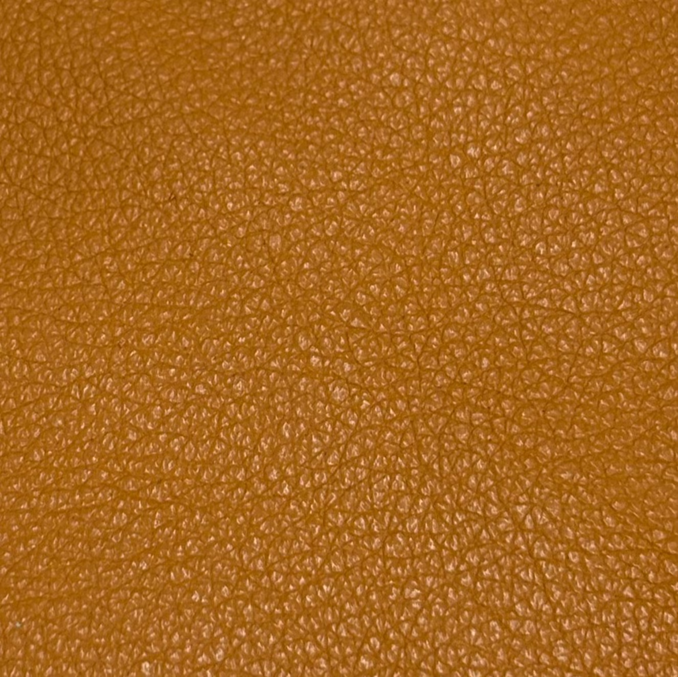 Mini Floater Saddle Soft Caramel Leather Pebbled Shiny
