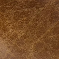 Phoenix | Light Camel