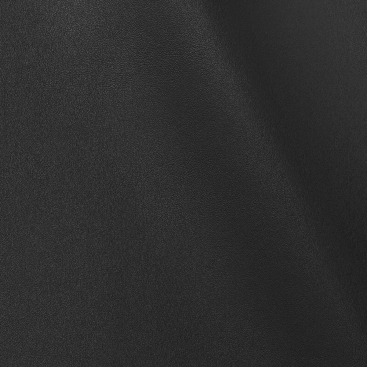Palm Beach | Black