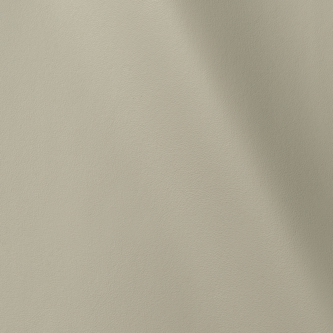 Palm Beach | Shadow
