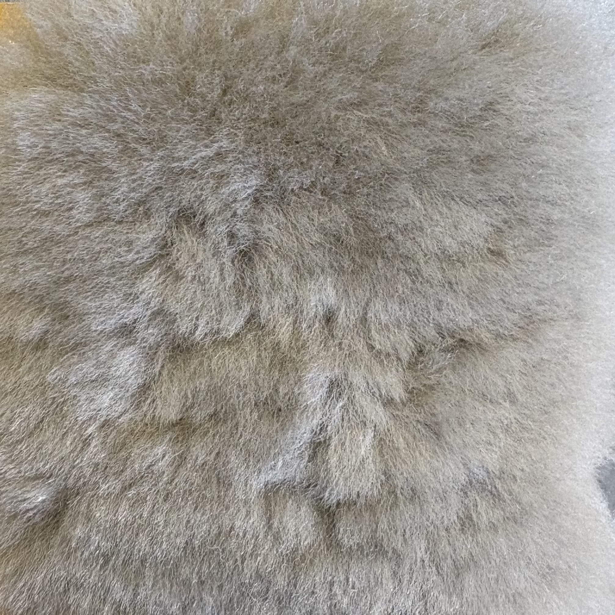 Shearling Camel Upholstery