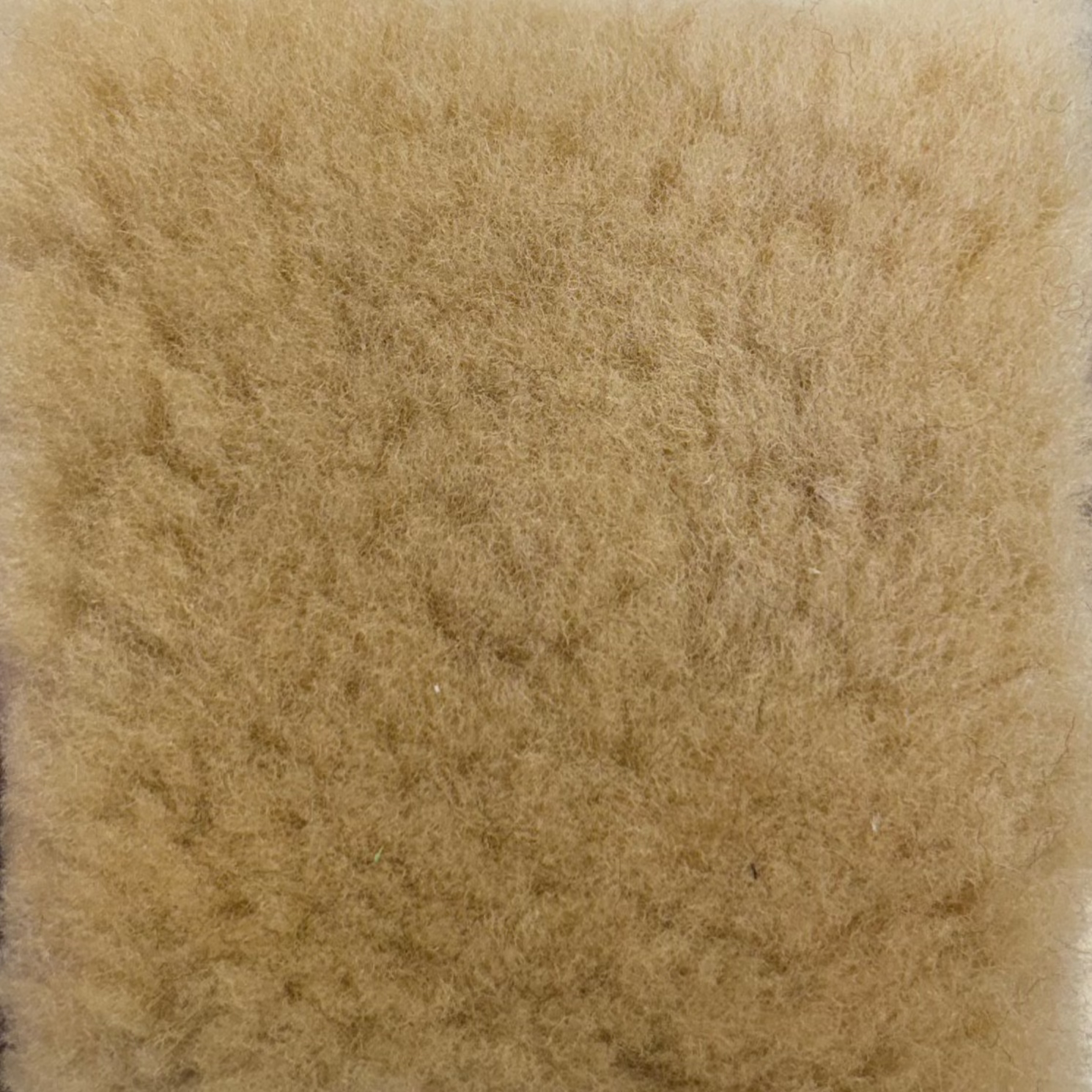Shearling | Palomino
