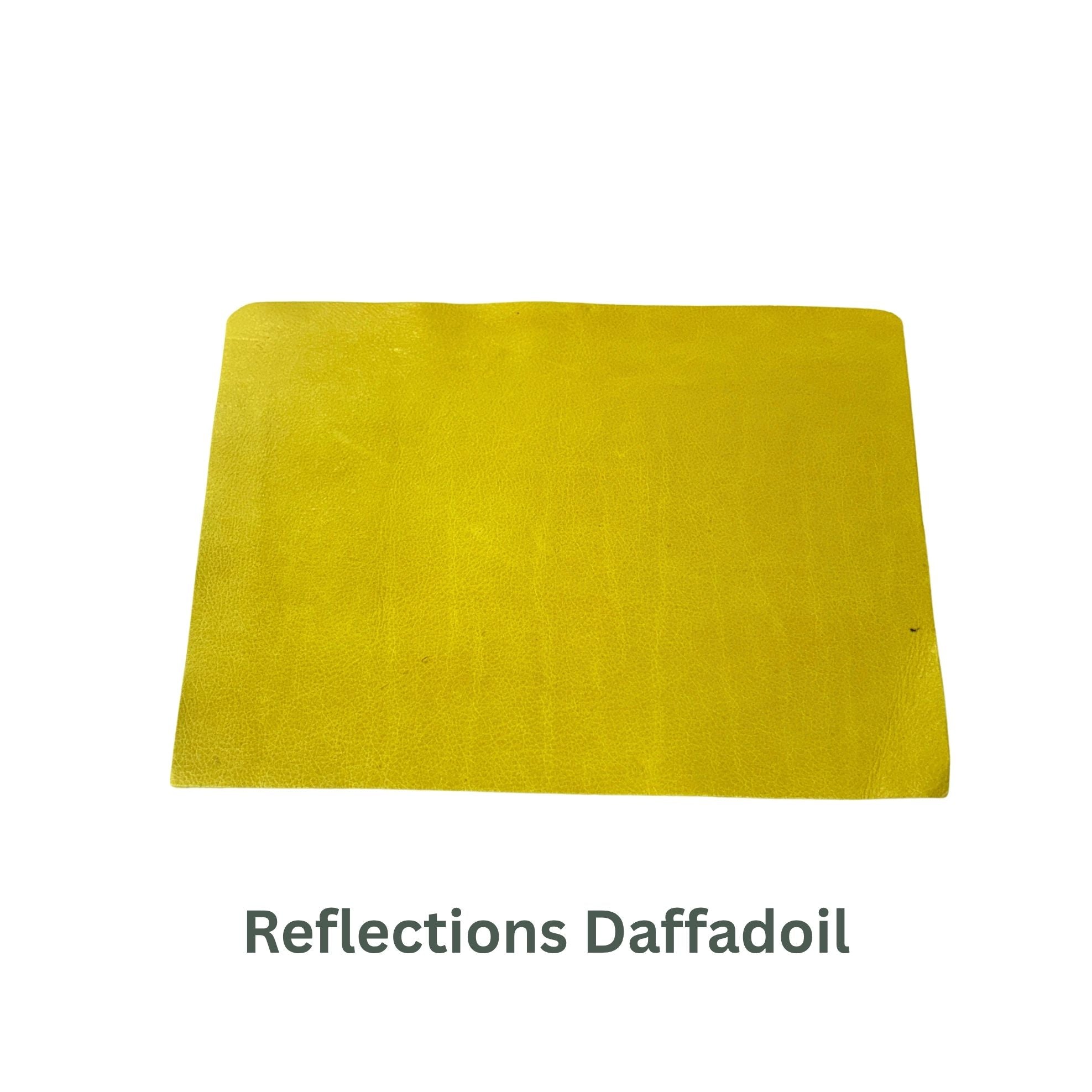 Distressed Small Leather Panels