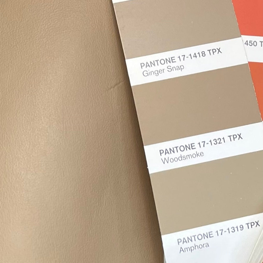 beige light discover amber upholstery leather Los Angeles wholesale hide for sale