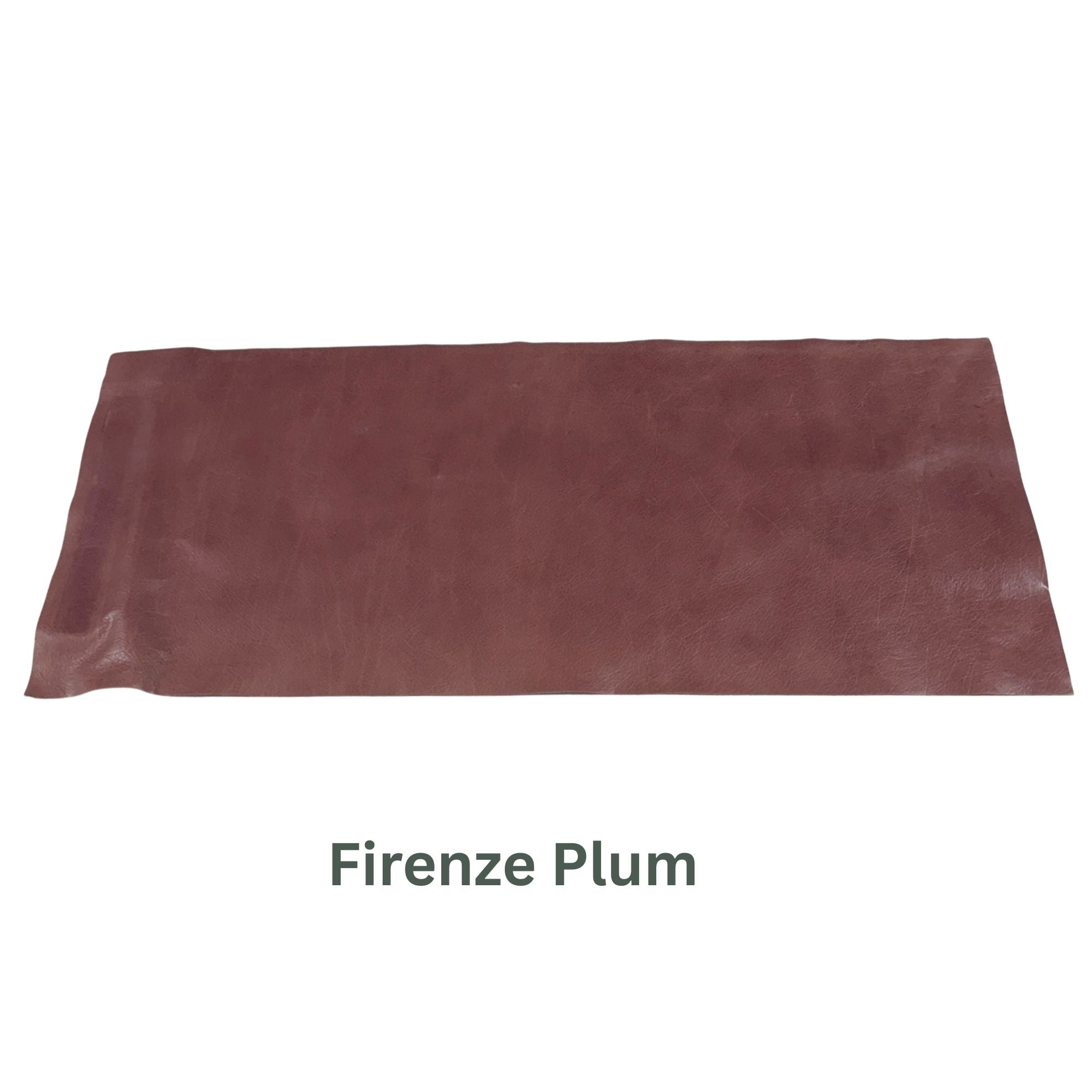 Red & Dark Red Brown Leather Panels