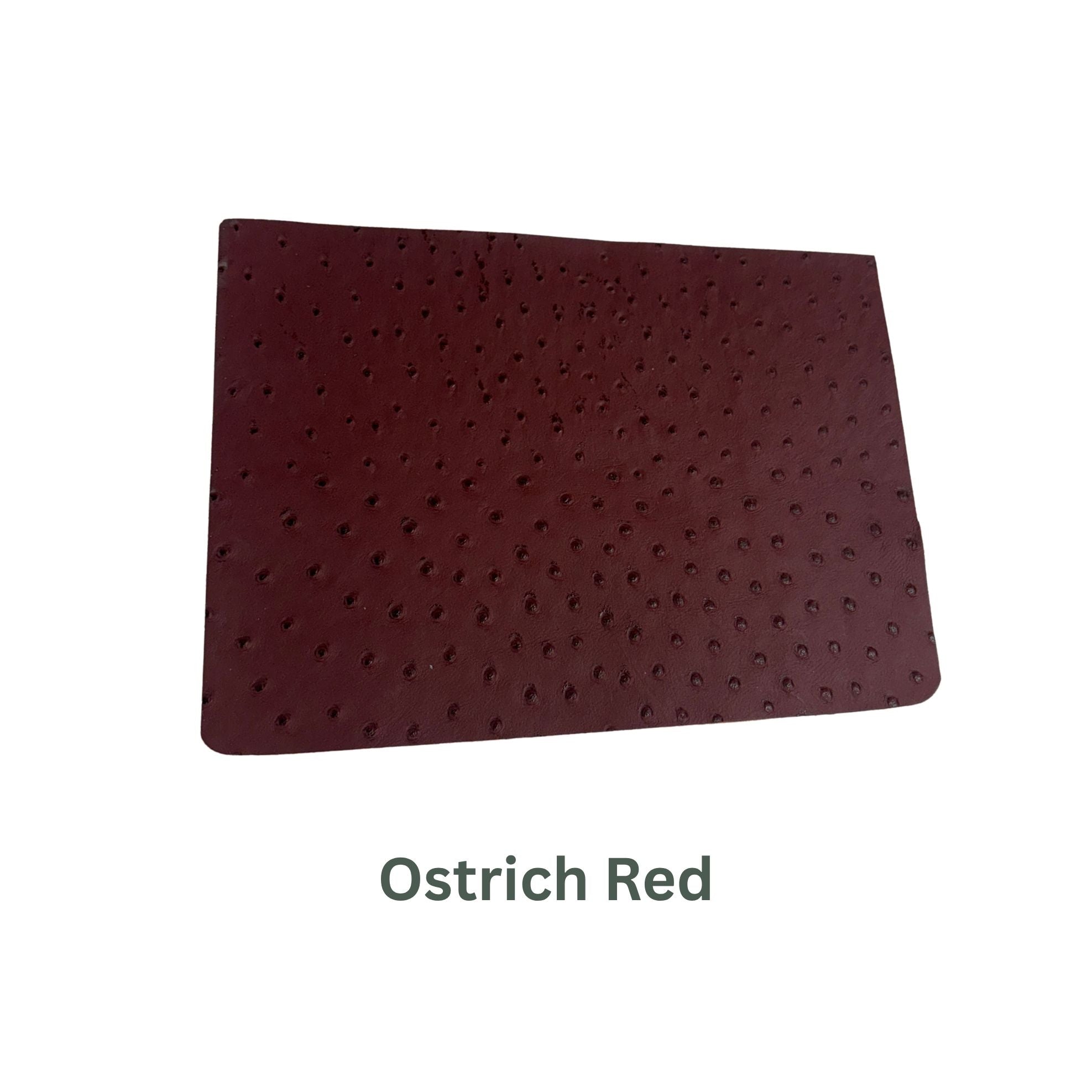 Ostrich Small Leather Panels