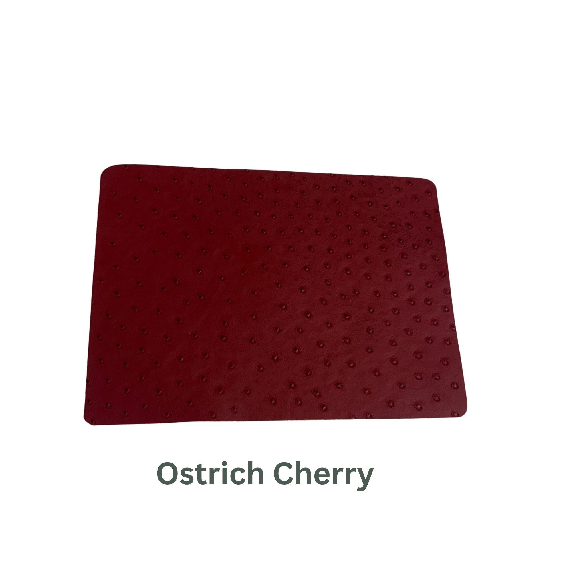 Ostrich Small Leather Panels