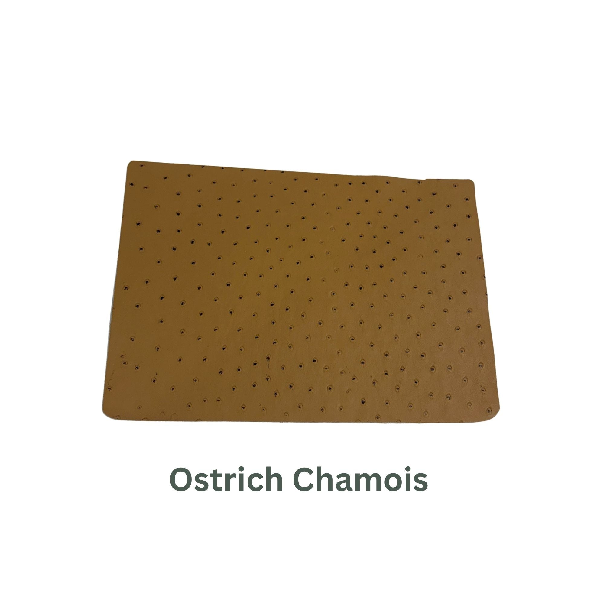Ostrich Small Leather Panels