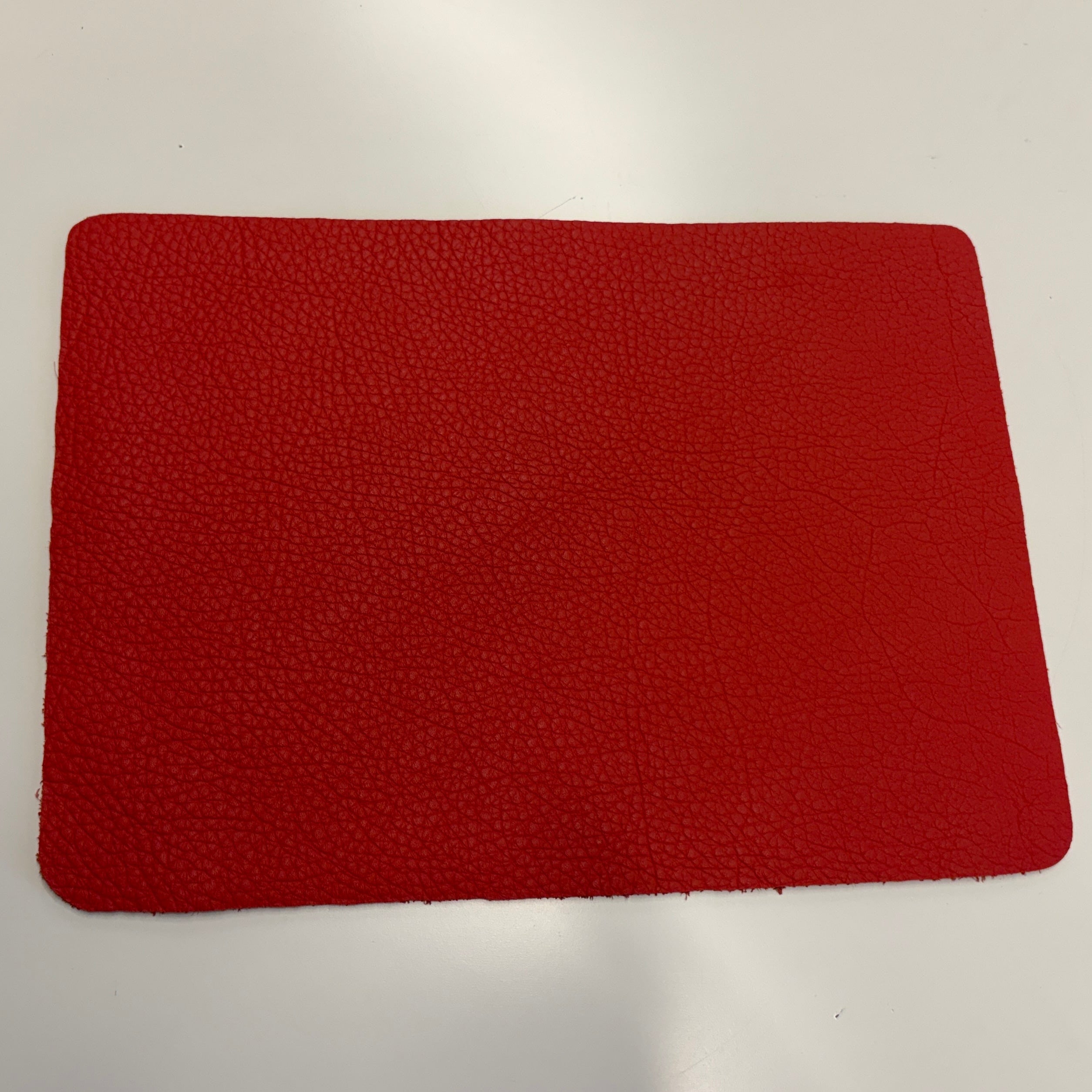 Notebook Panels