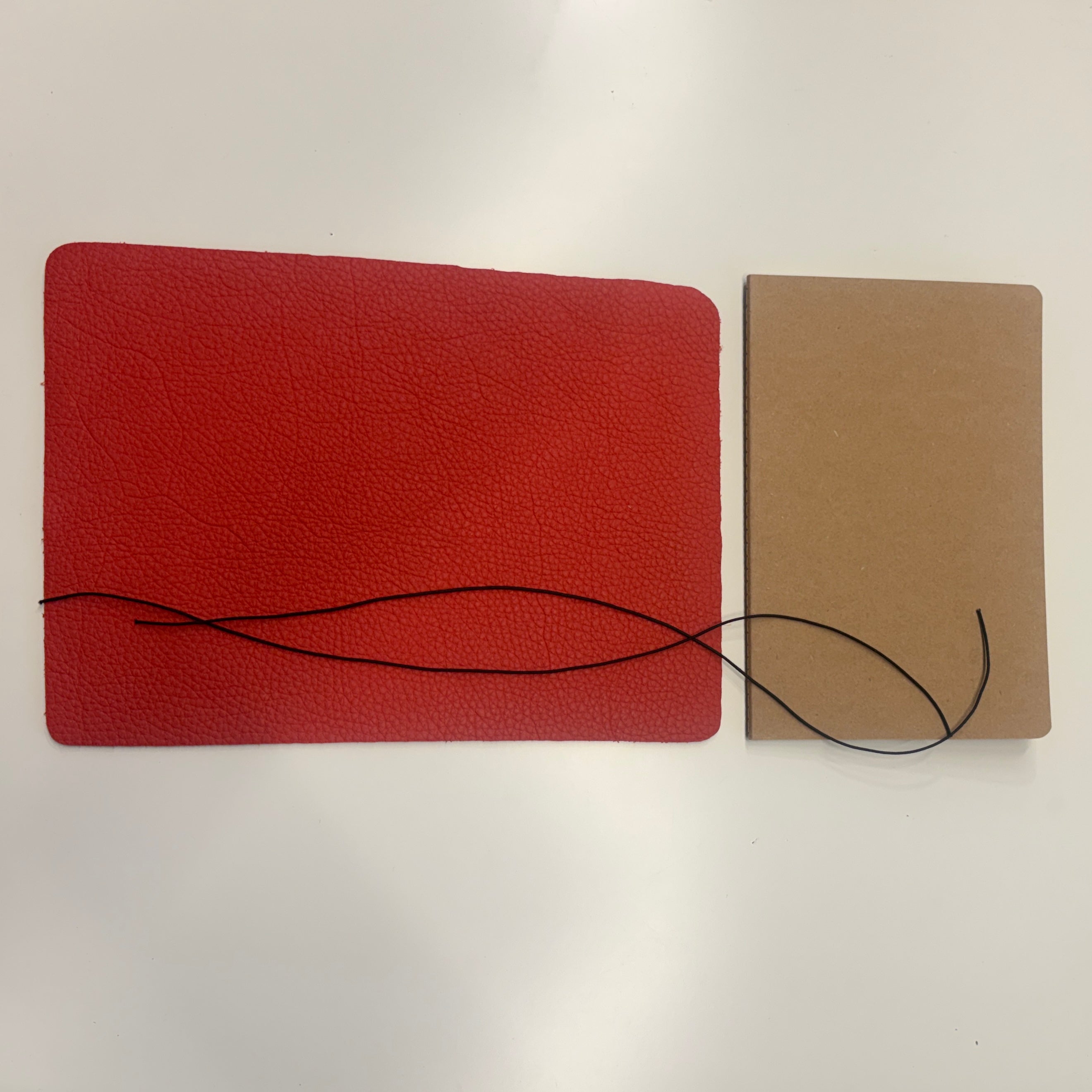 Notebook Panels