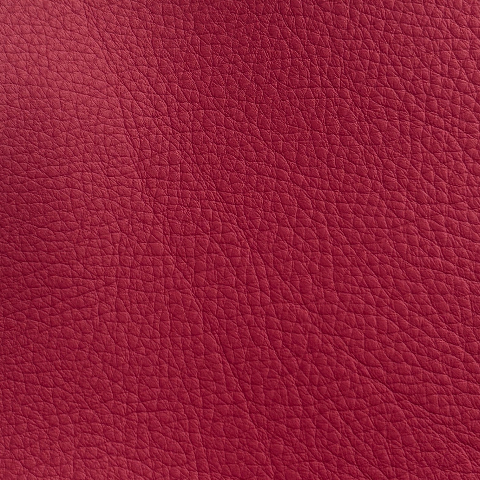 Studio Bubble  | Framboise