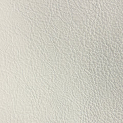 Studio Bubble  | Latte