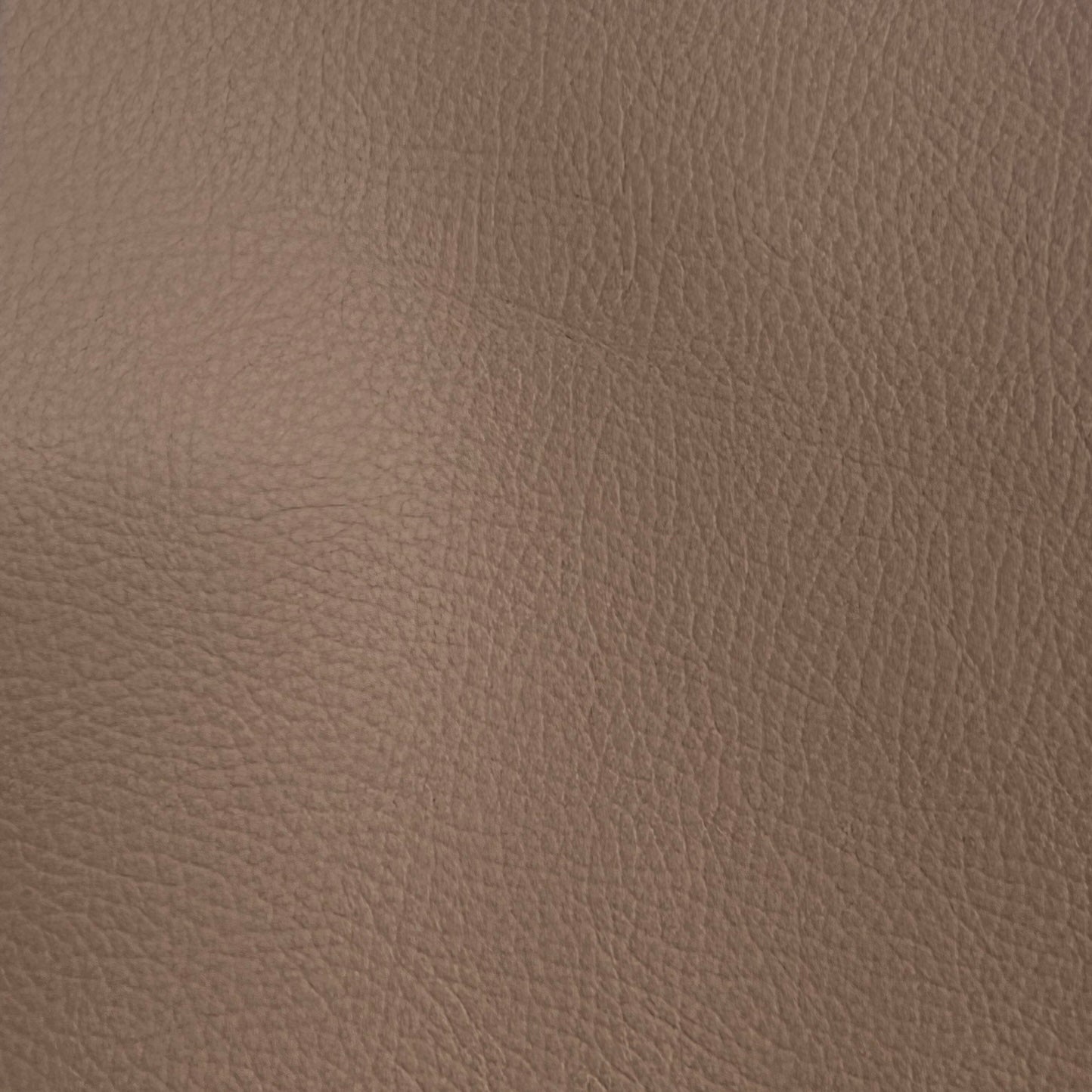 Studio Bubble  | Oak