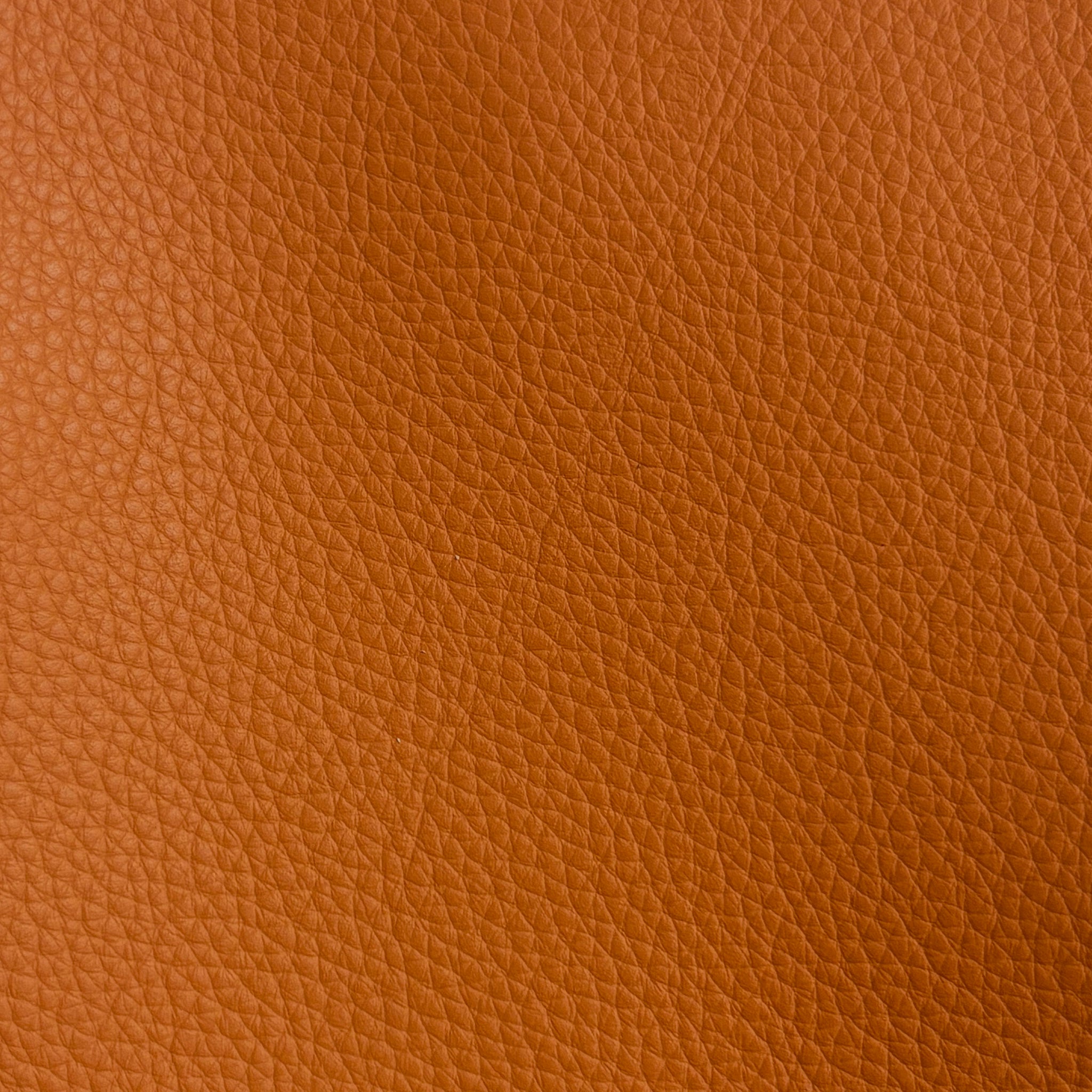 Studio Bubble  | Papaya