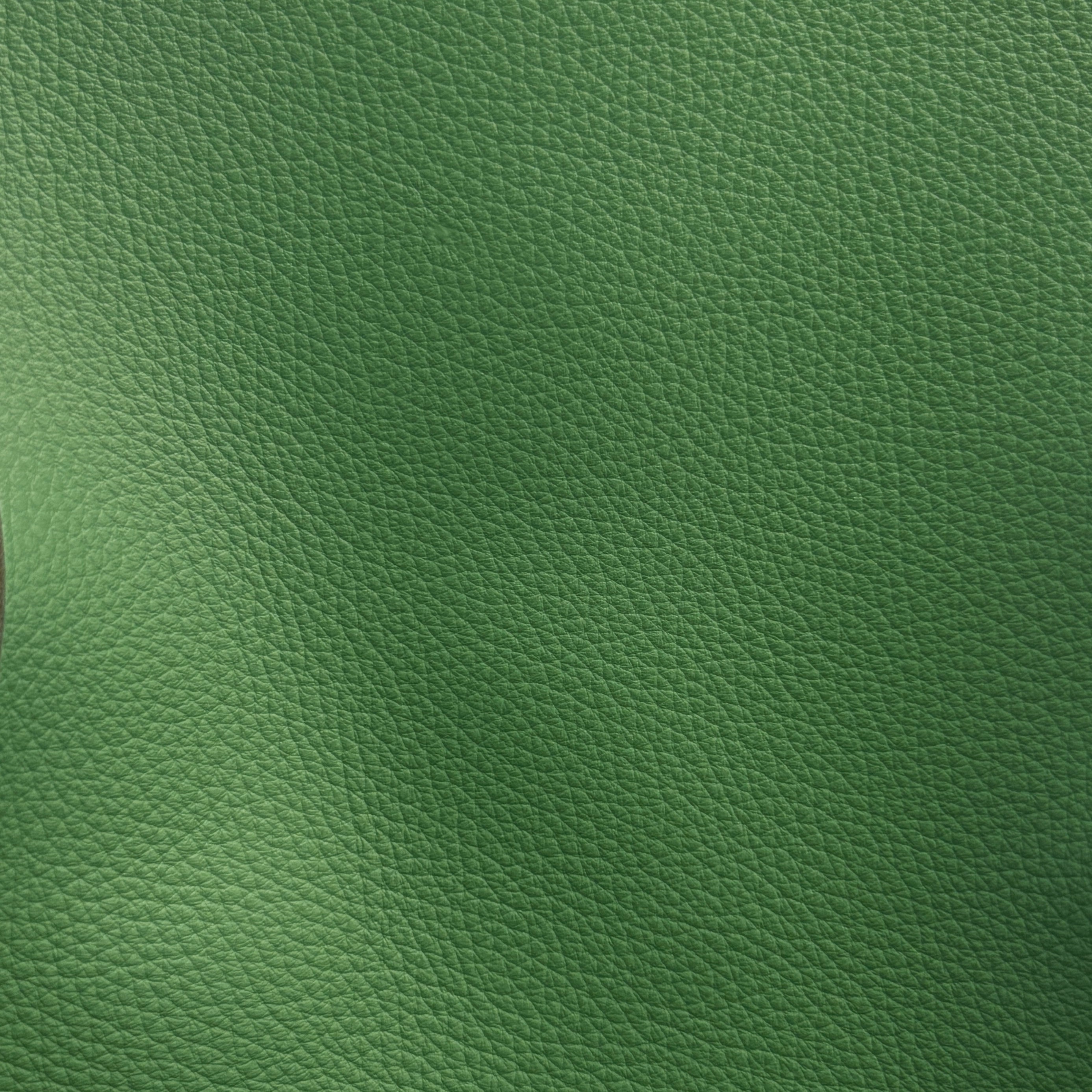 Studio Bubble  | Pineta