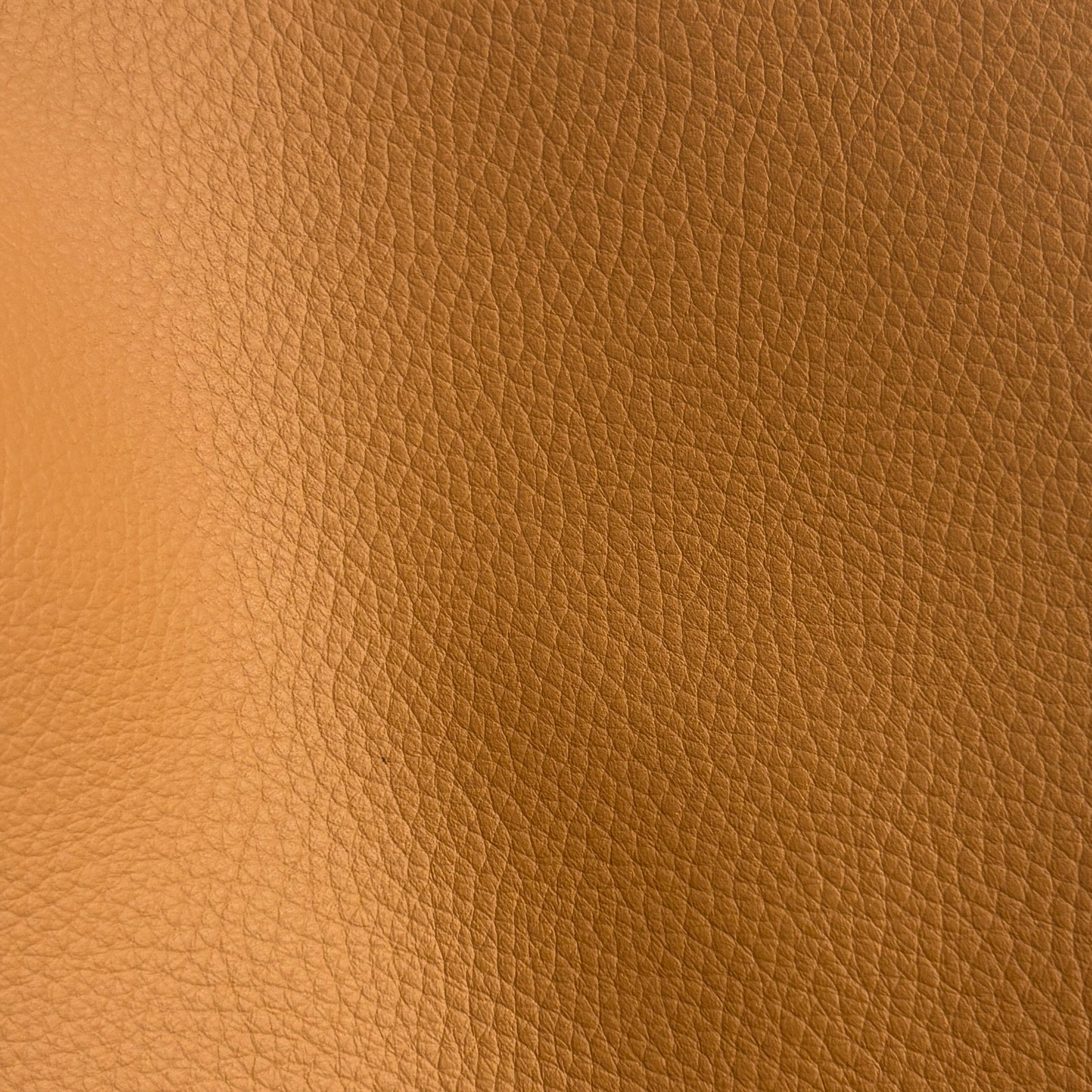 Studio Bubble  | Sahara