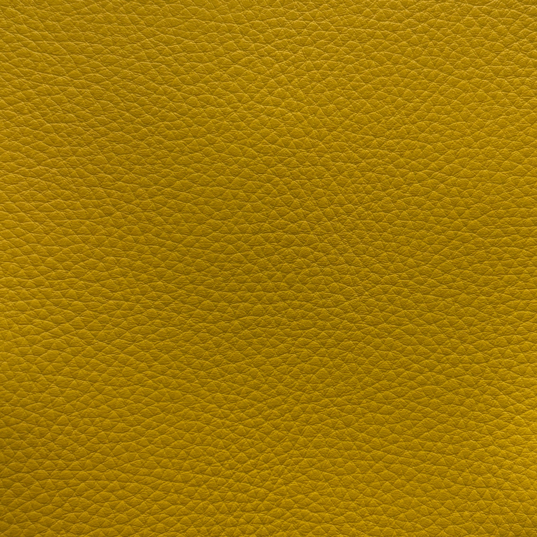Studio Bubble  | Solidago