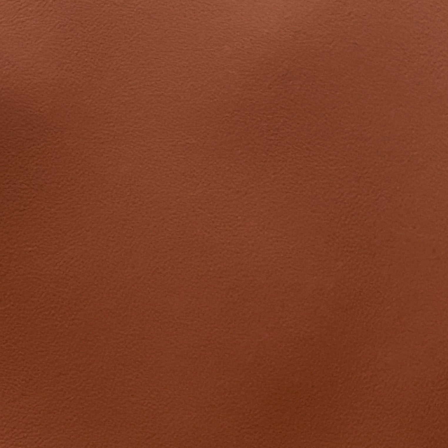 Palm Beach  | Argan