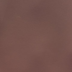 Palm Beach  | Bronze