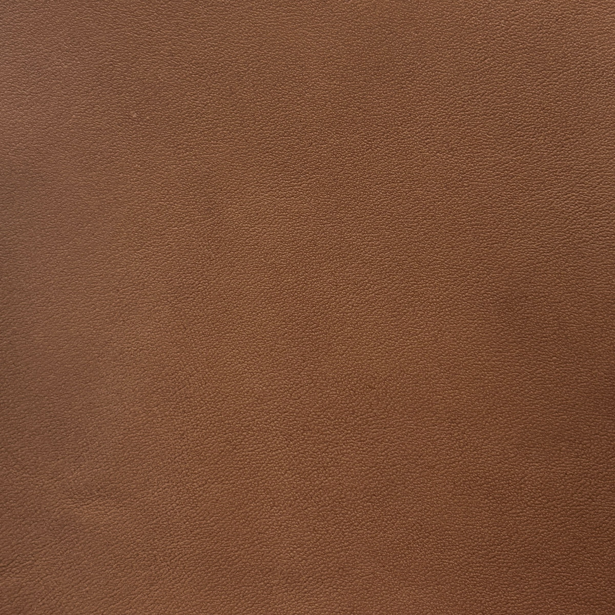 Sardinia | Bark