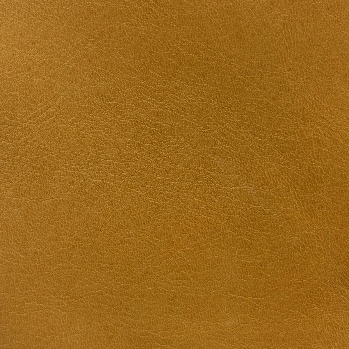 Sardinia | Beige
