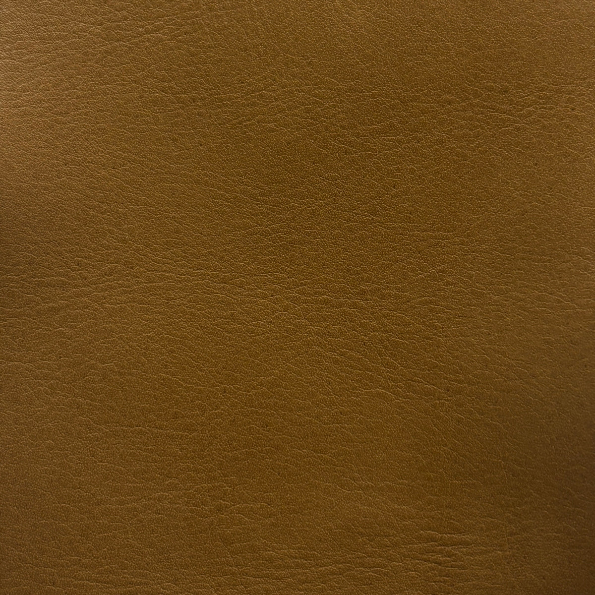 Sardinia | Brass