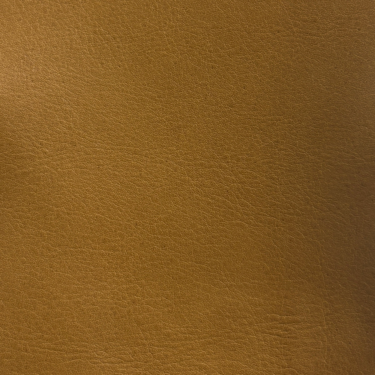 Sardinia | Brass